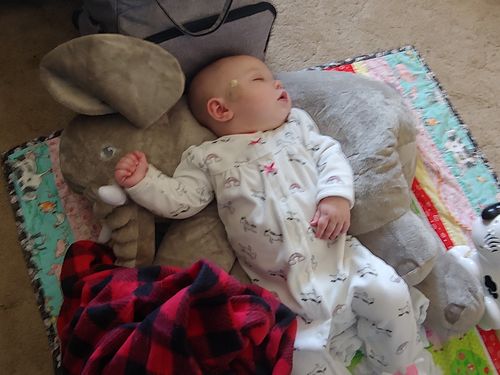 Customer Review Photo