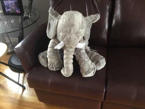Customer Review Photo