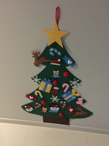 Customer Review Photo
