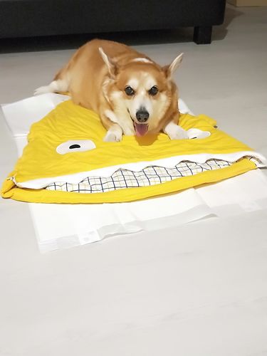 Customer Review Photo