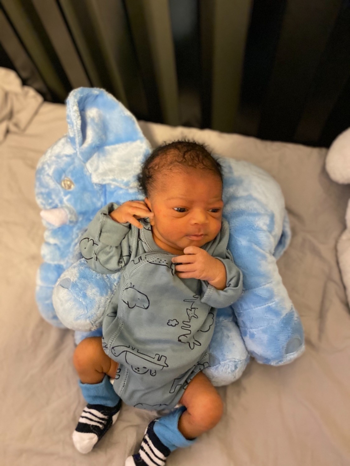 Customer Review Photo