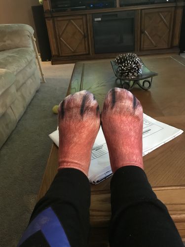 Customer Review Photo