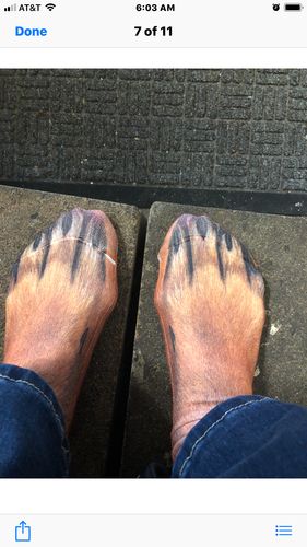 Customer Review Photo