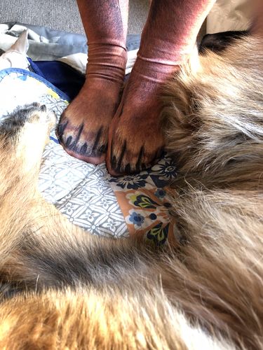 Customer Review Photo