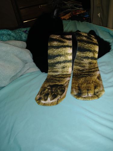 Customer Review Photo