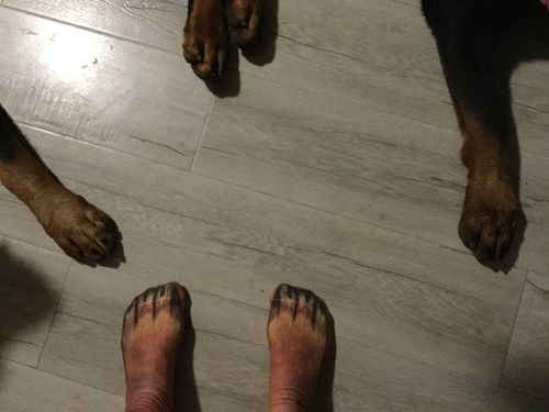Customer Review Photo