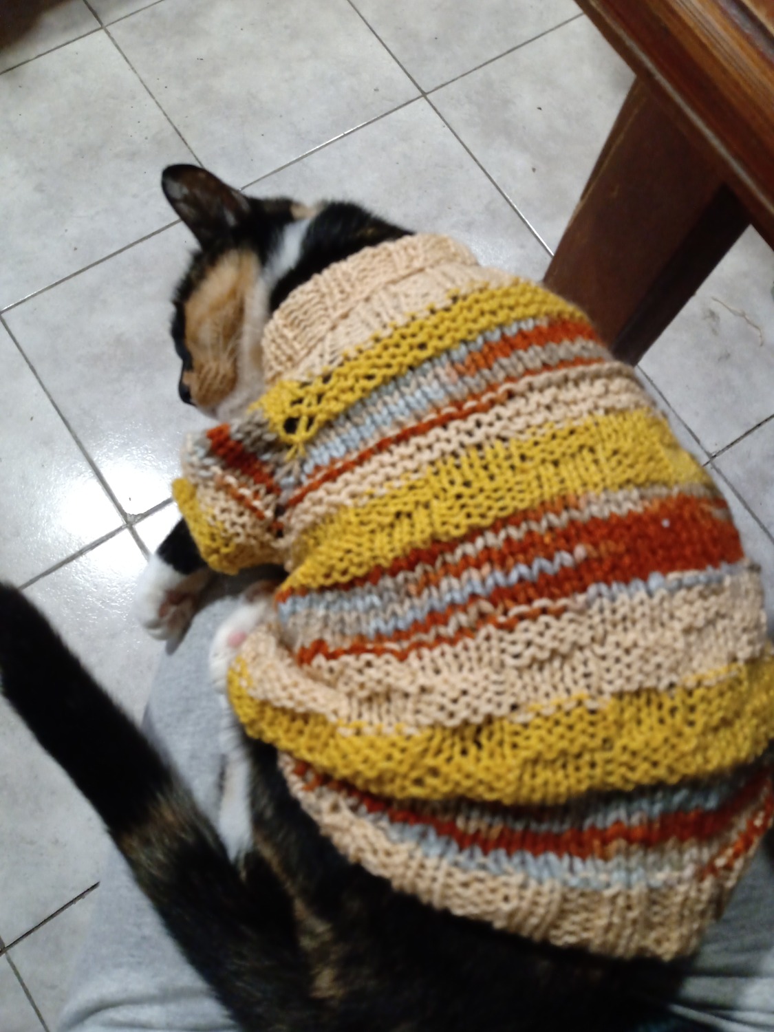 Customer Review Photo