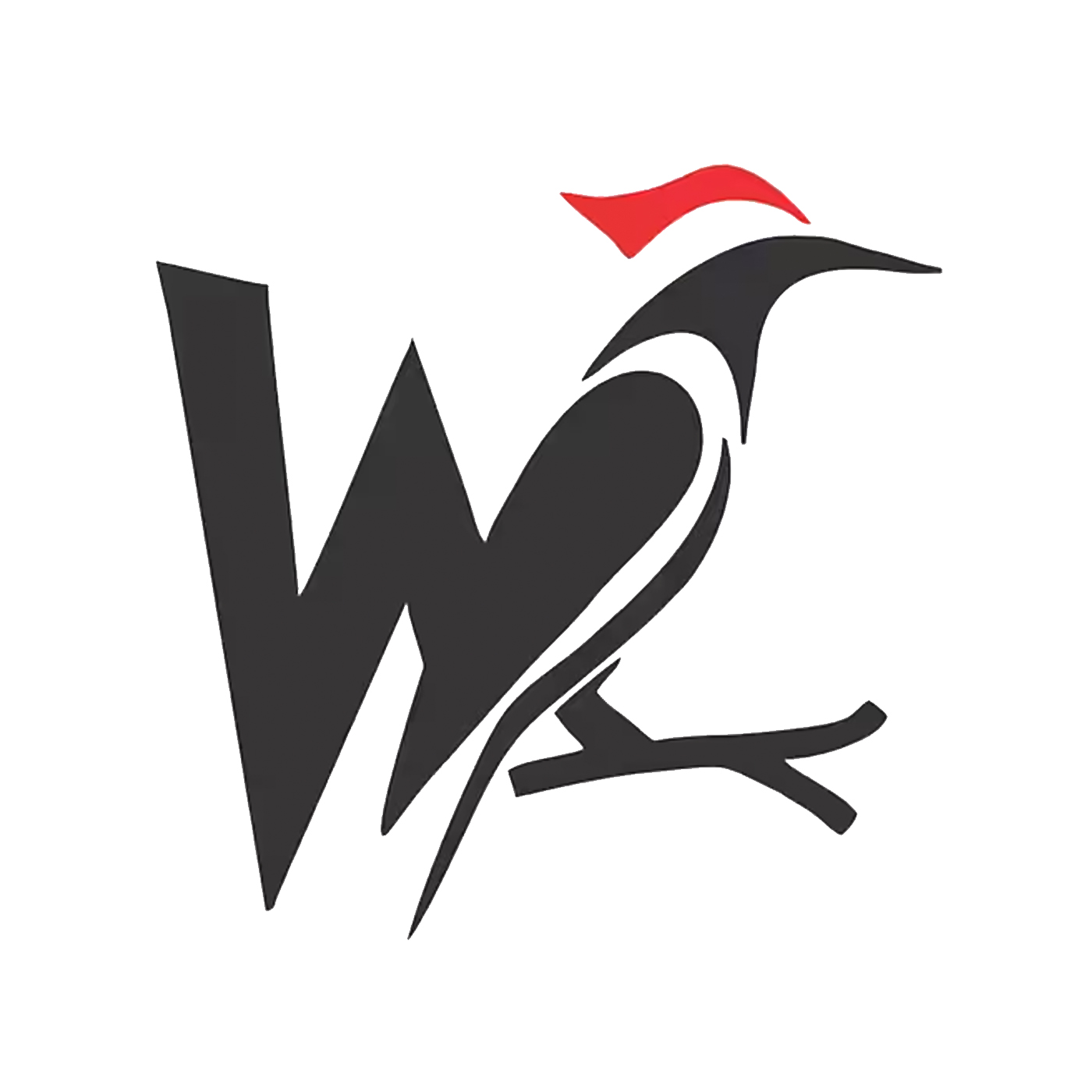 kindwoodpecker-inspire-uplift