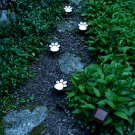 pawprintsolarlights2