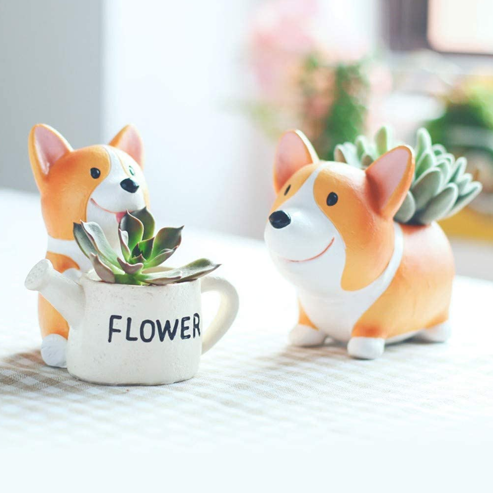 corgiplanter4
