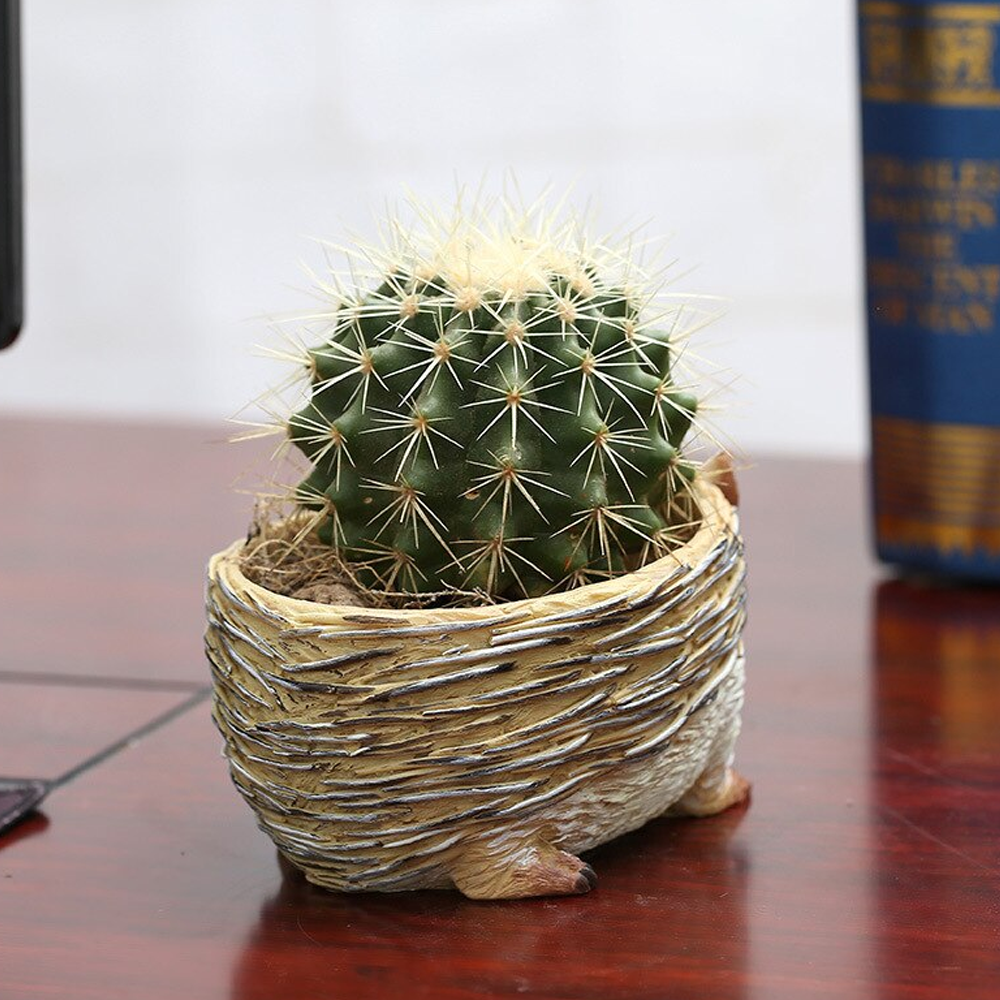 hedgehogplanter5
