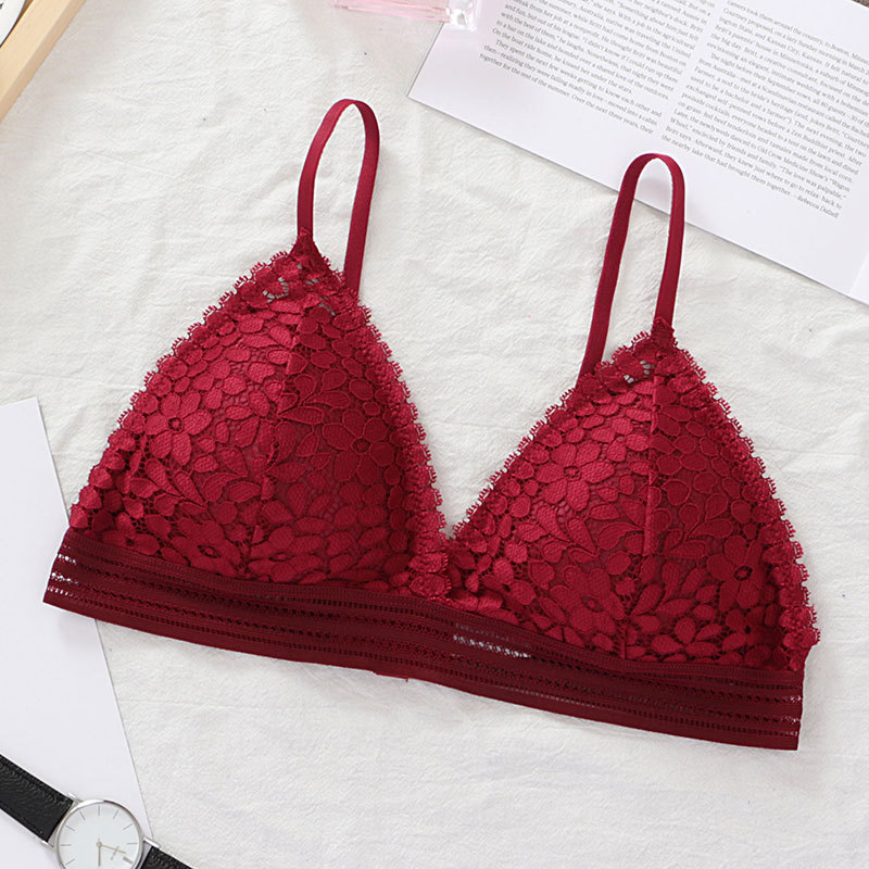 Sheer Floral Lace Bralette and Wireless Triangle Bra