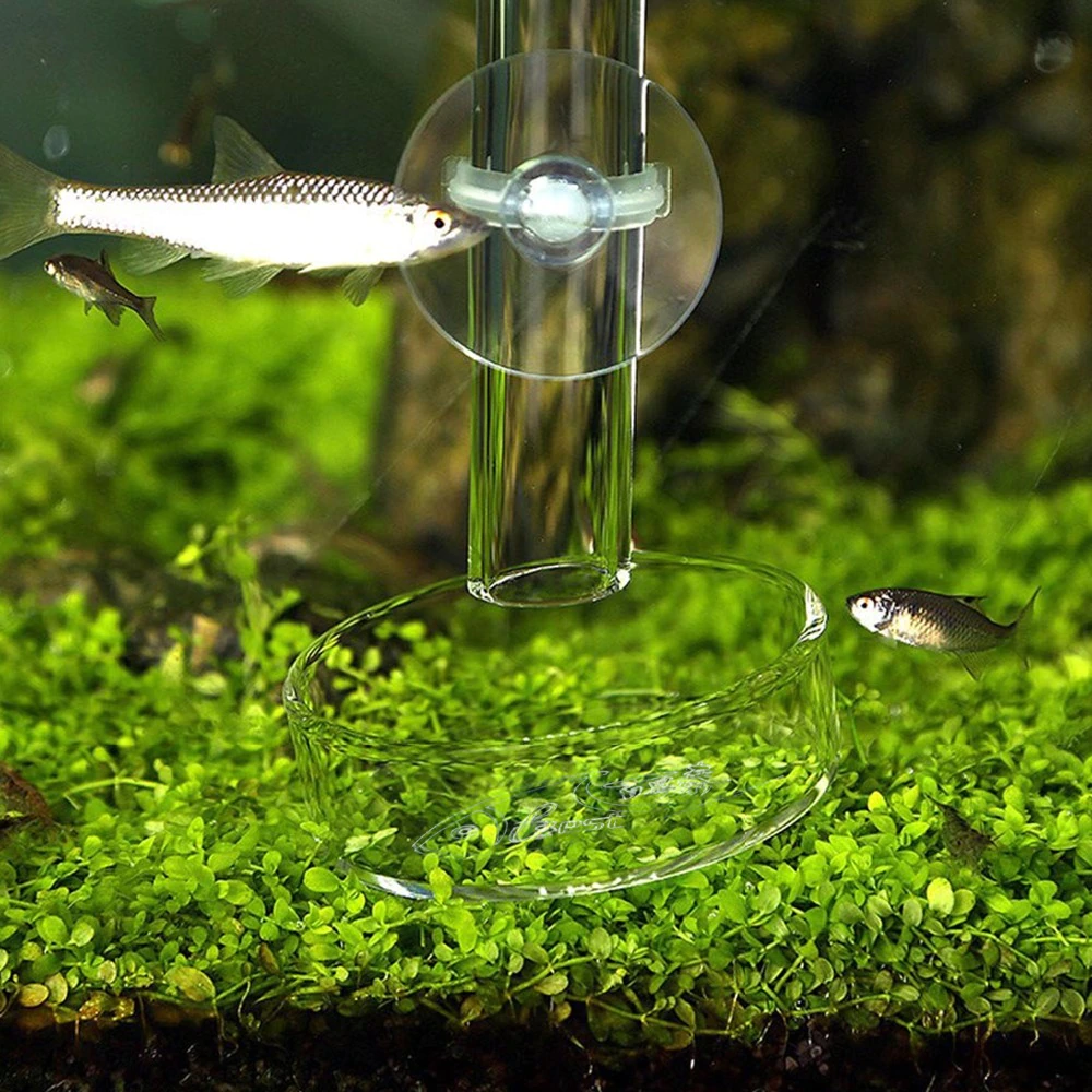 thumbnail image 2 of Tropical Fish Food Aquarium Feeding Dish Set - Clear Shrimp Food Dish With Tube & Cleaning Brush Shrimp Food Feeder 2 of 13