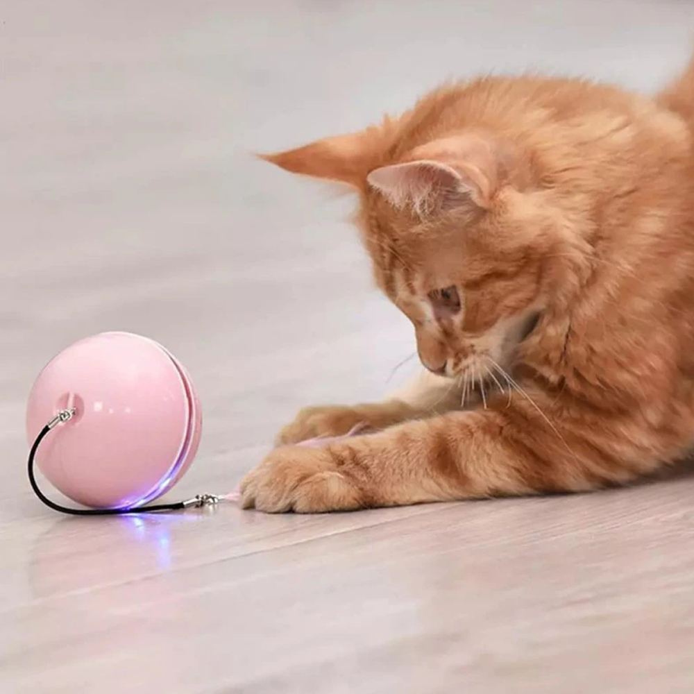 360° AutoSpinning LED Cat Ball Inspire Uplift