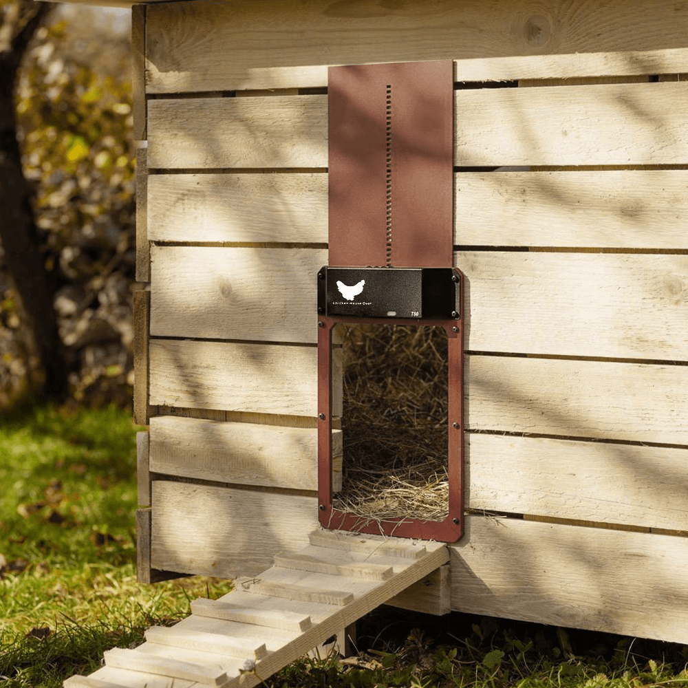 Automatic Chicken Door Opener