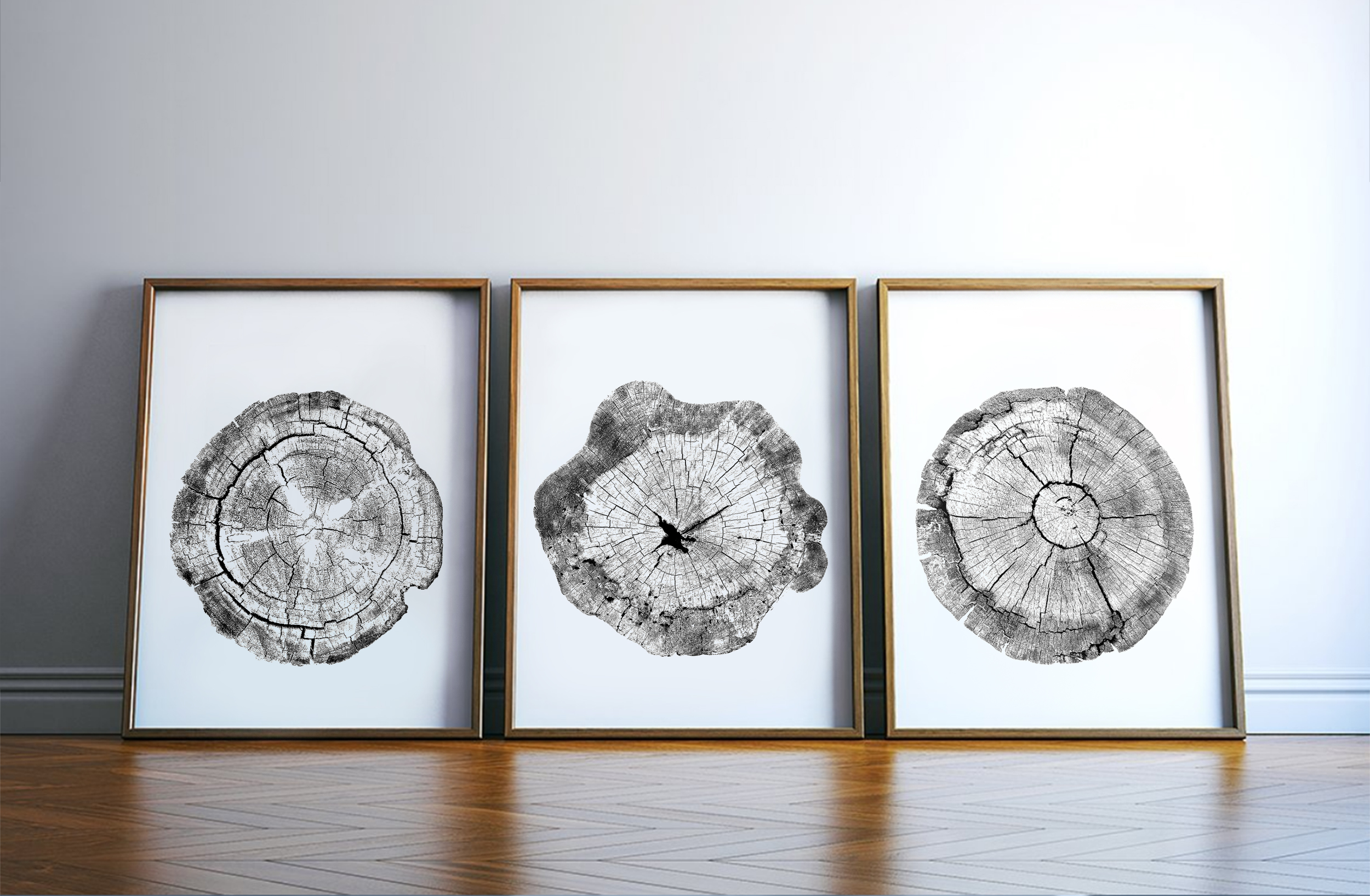 Tree ring print, Set of 3 prints, Tree stump print, Black an Inspire