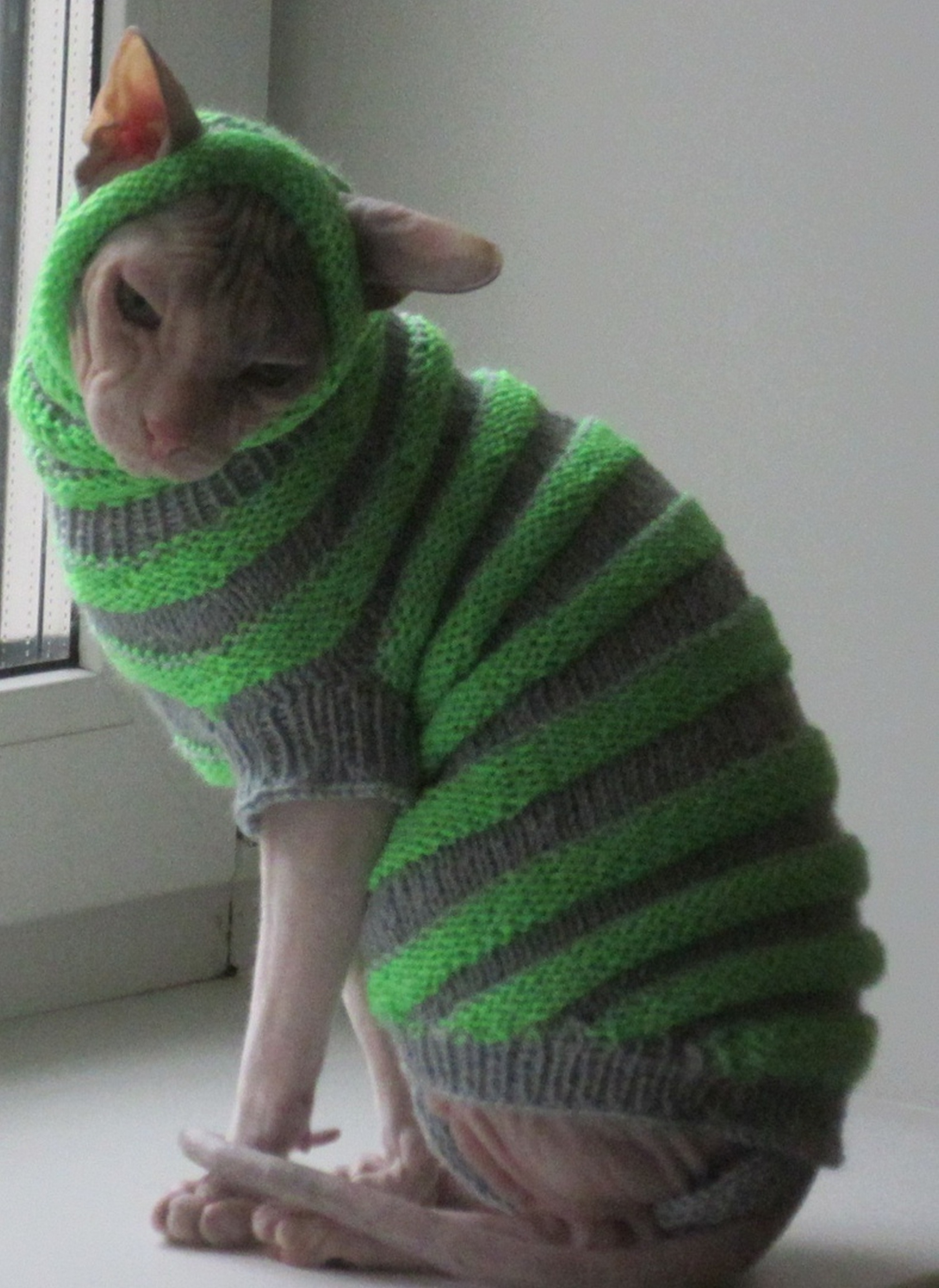 ЗСГУСНИ.jpg