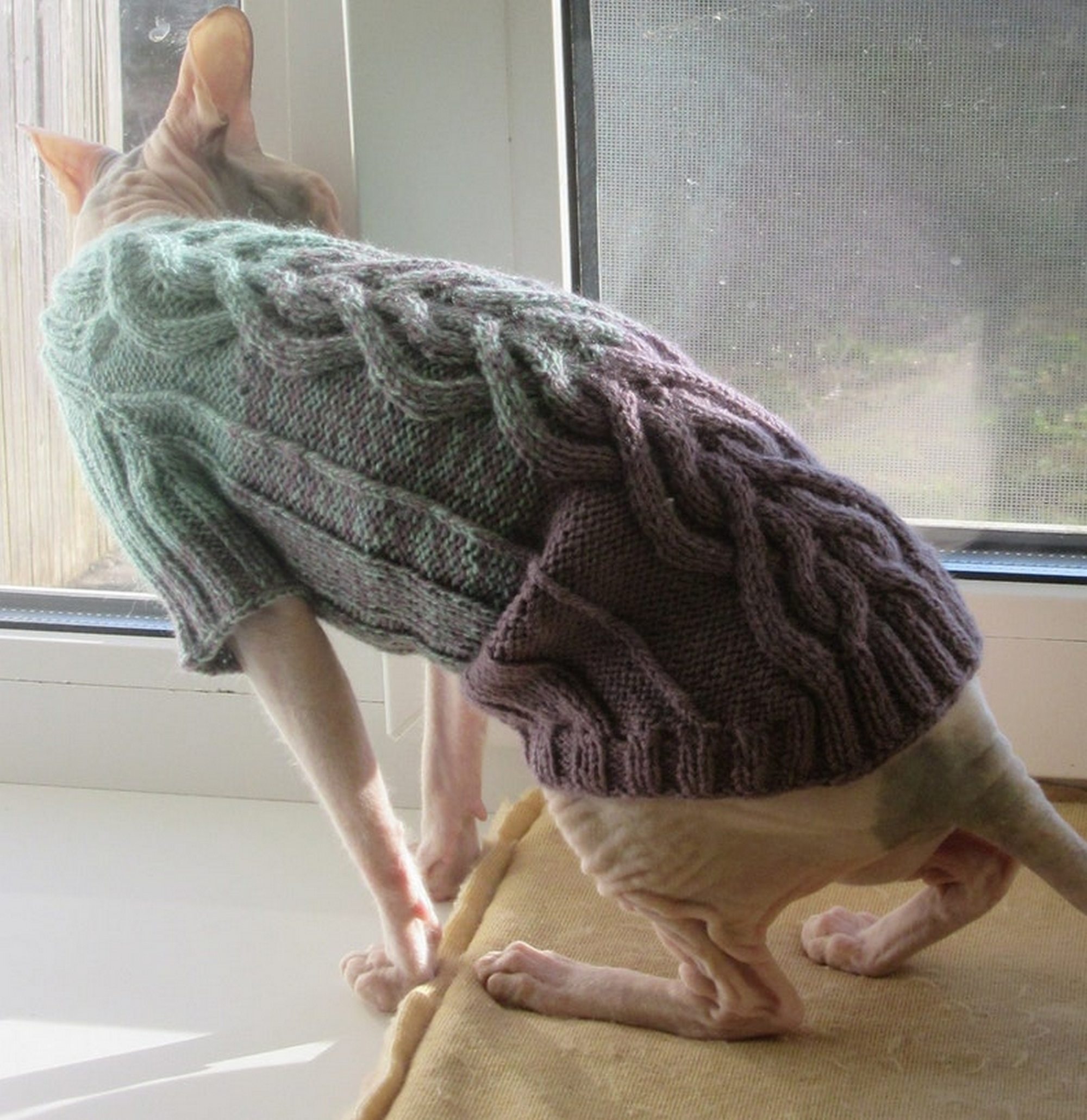 cat clothes,sphynx clothes,sphynx sweater,cat sweater - M