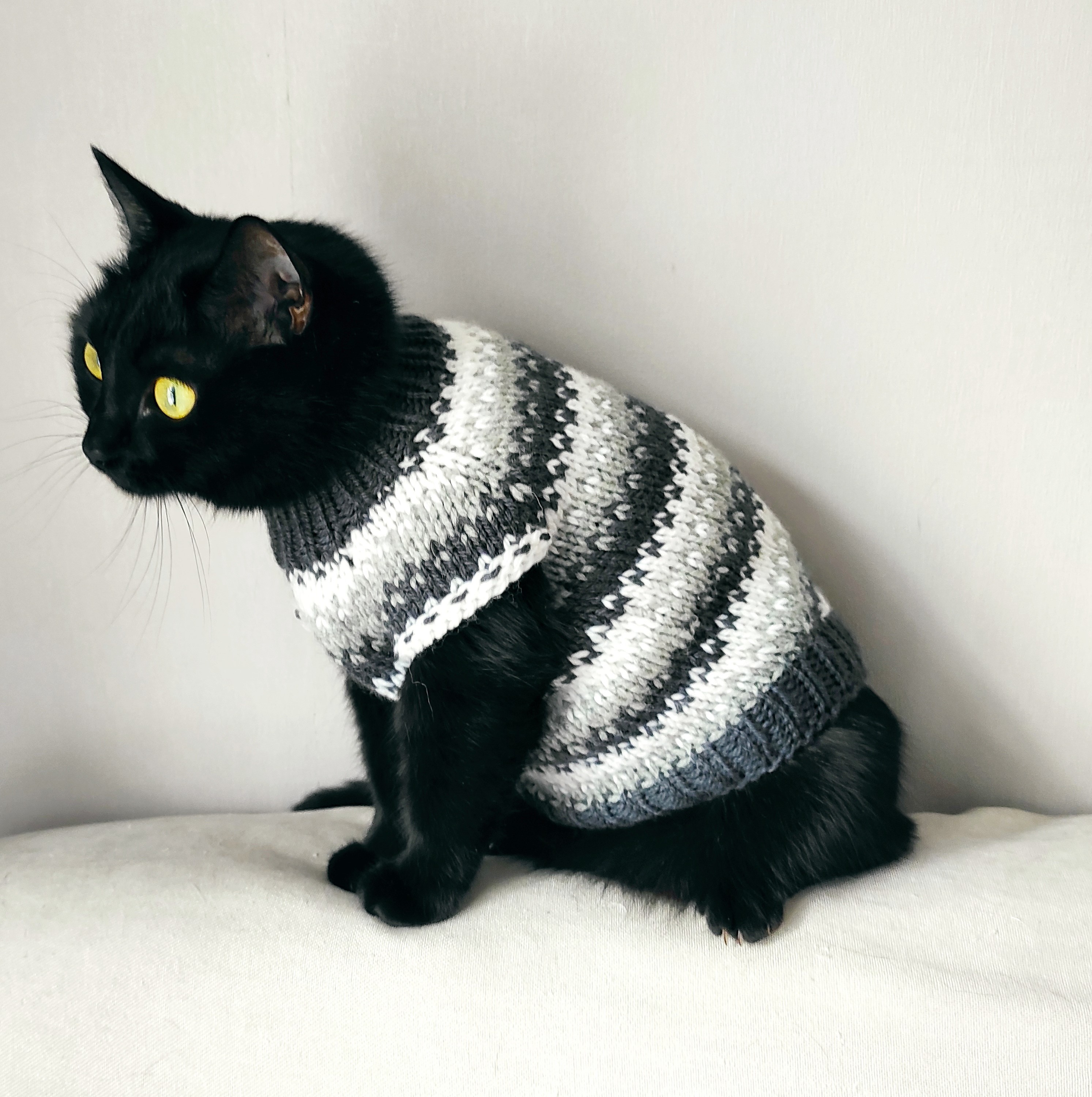 Hand knit cat sweater Jumper for cat Pet clothing Sweater for pet Dog clothing - XXS