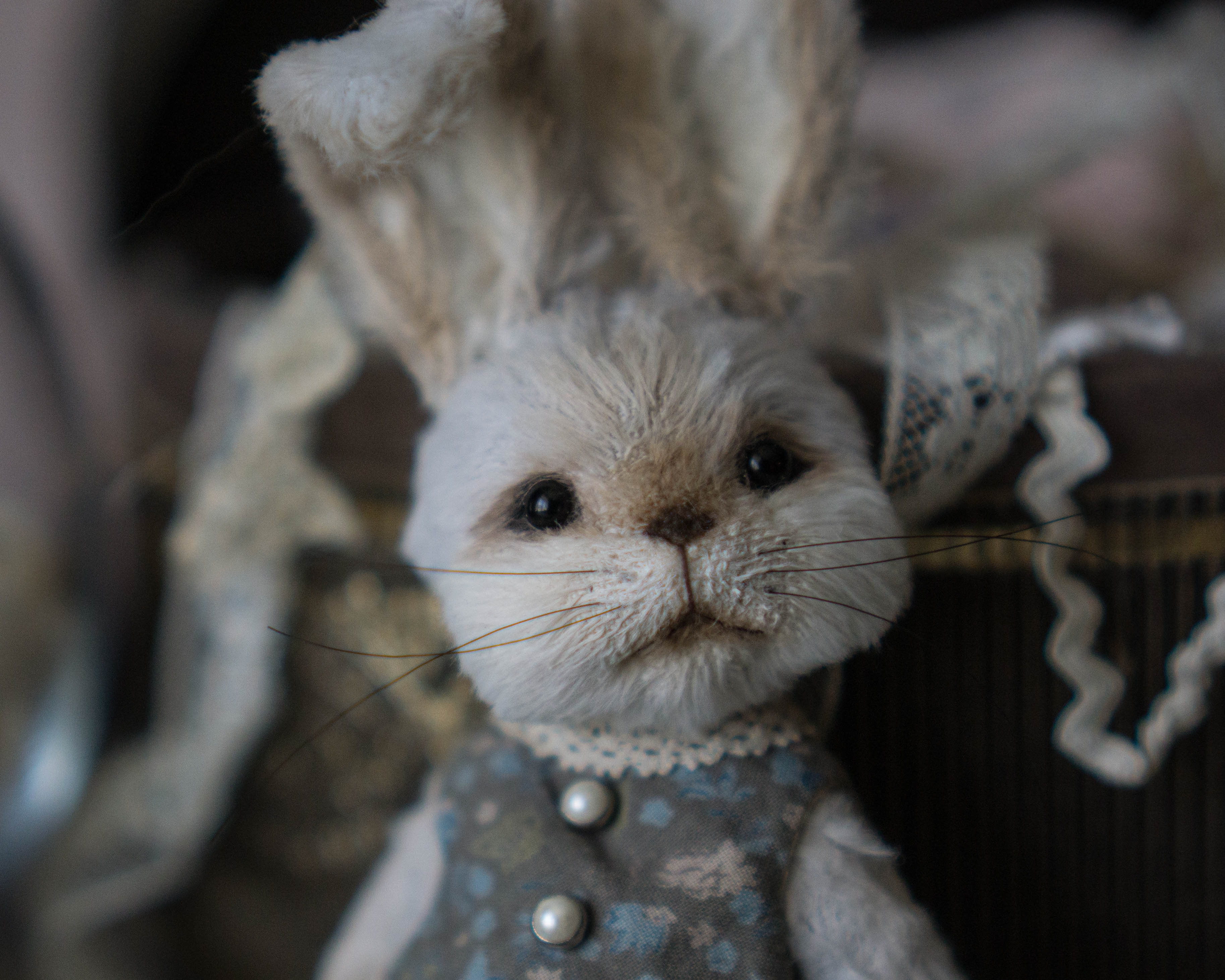 DSC03111.jpg