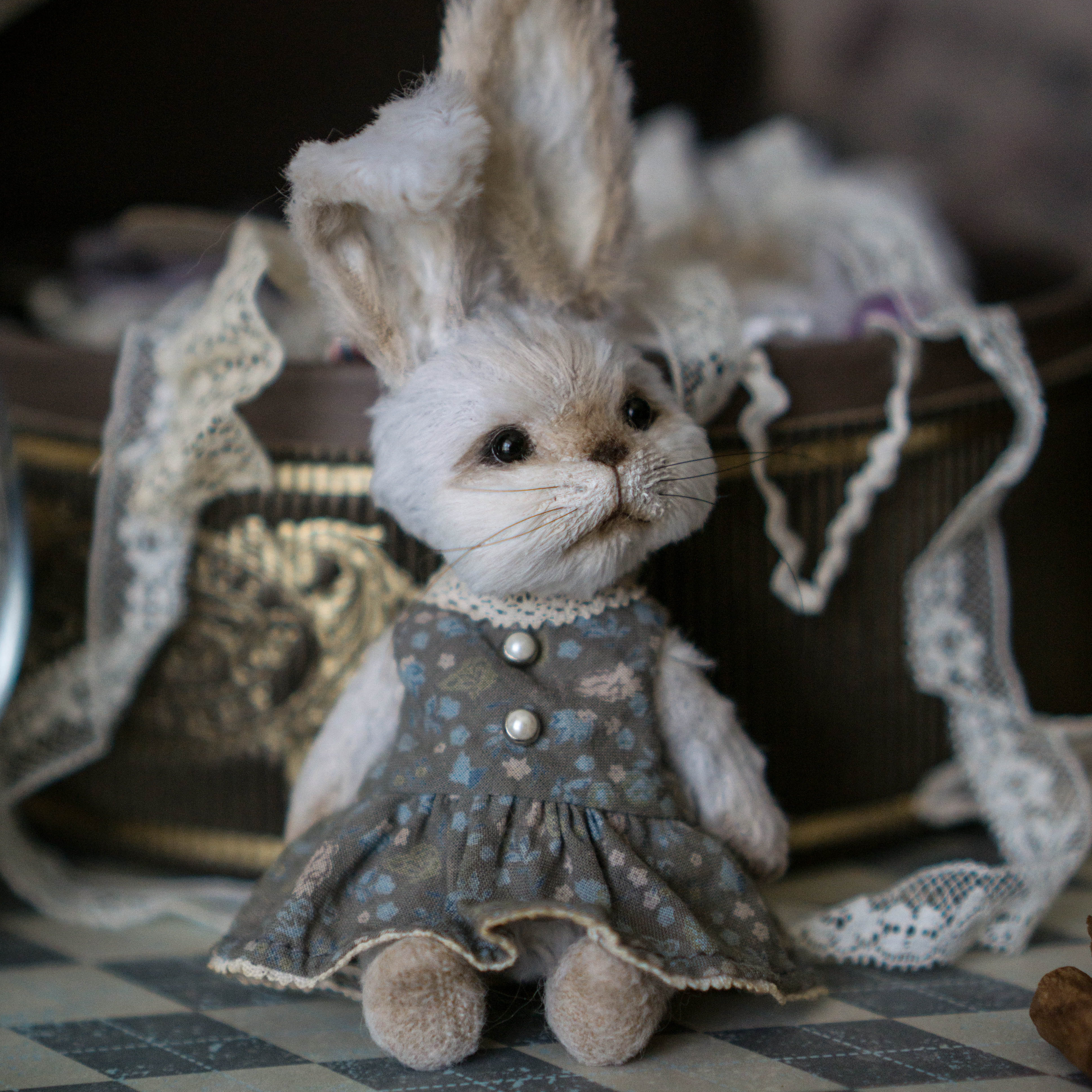 DSC03114.jpg