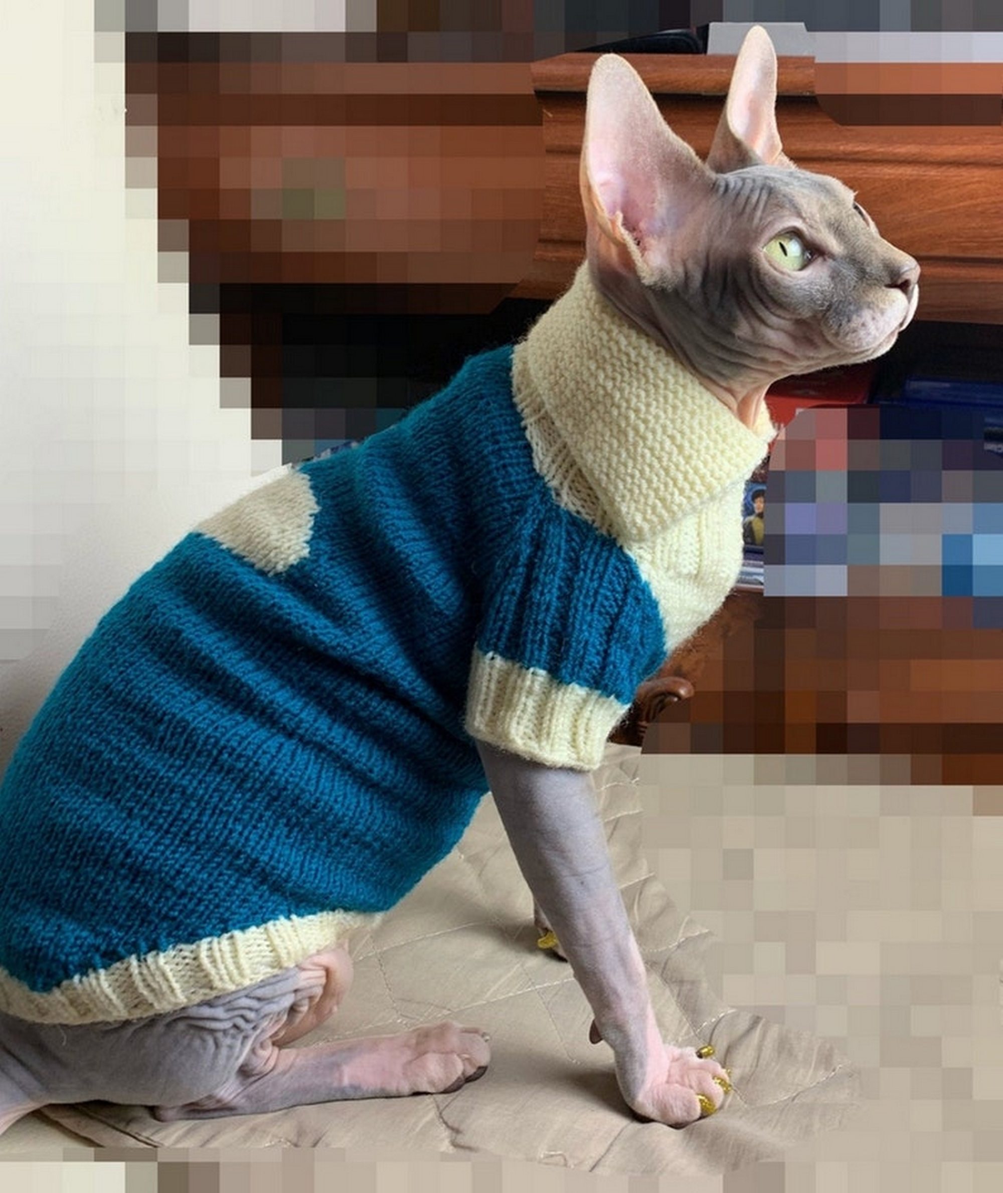 Cat clothes, cat sweater, sphynx clothes, sphynx sweater, warm sphynx clothes, warm cat clothes, warm cat sweater, soft - XS