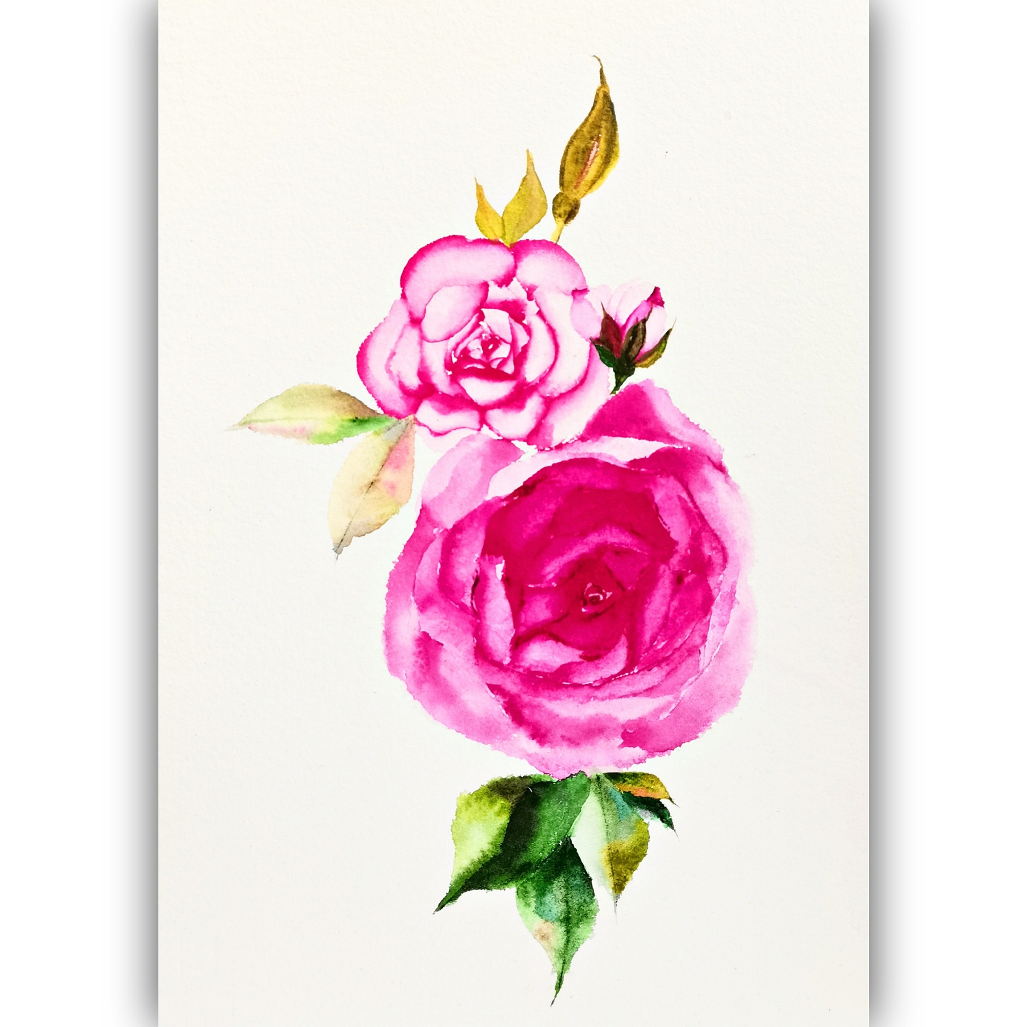 Rose Painting Floral Original Art Flower Watercolor Small Wa | Inspire ...
