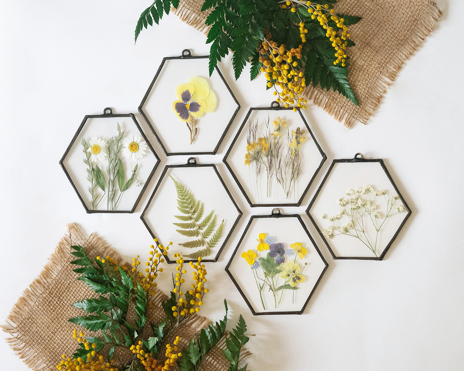 Pressed flower stained glass, Pressed flower wall art, press Inspire