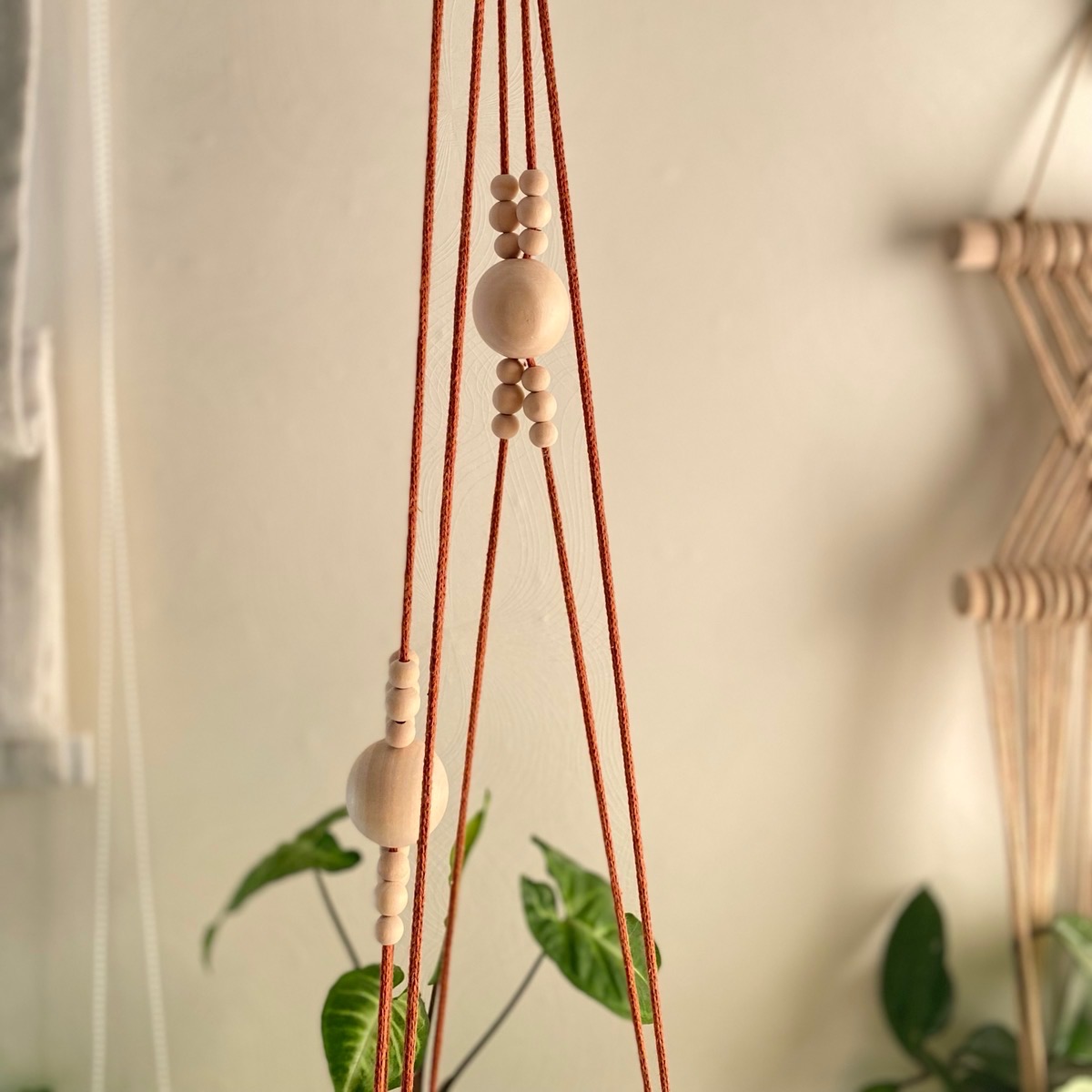 Large Modern Macrame Plant Hanger Without Tassel on Bottom, Inspire