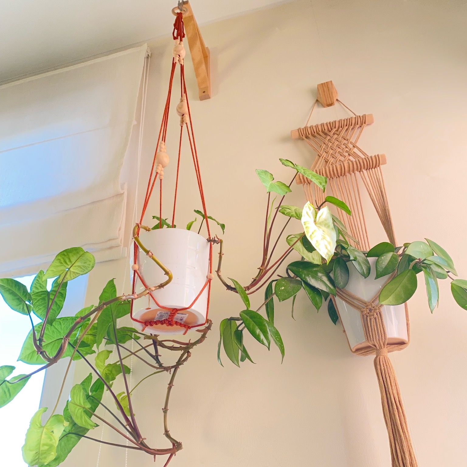 Large Modern Macrame Plant Hanger Without Tassel on Bottom, Inspire