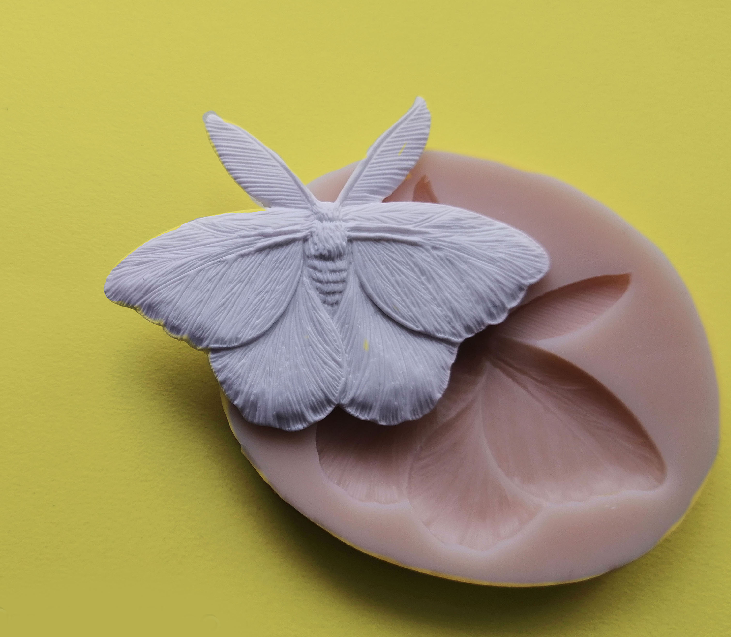 Butterfly, moth mold. Unique silicone molds for polymer clay Inspire