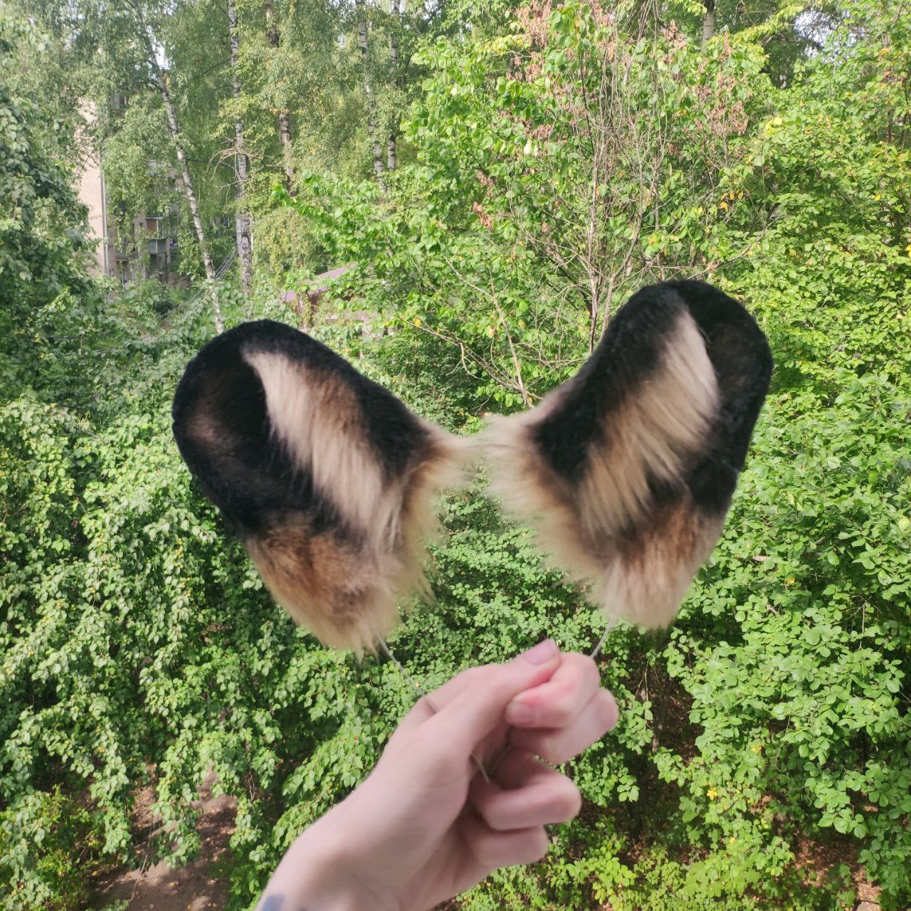 African Wild Dog Ears Headband Inspire Uplift