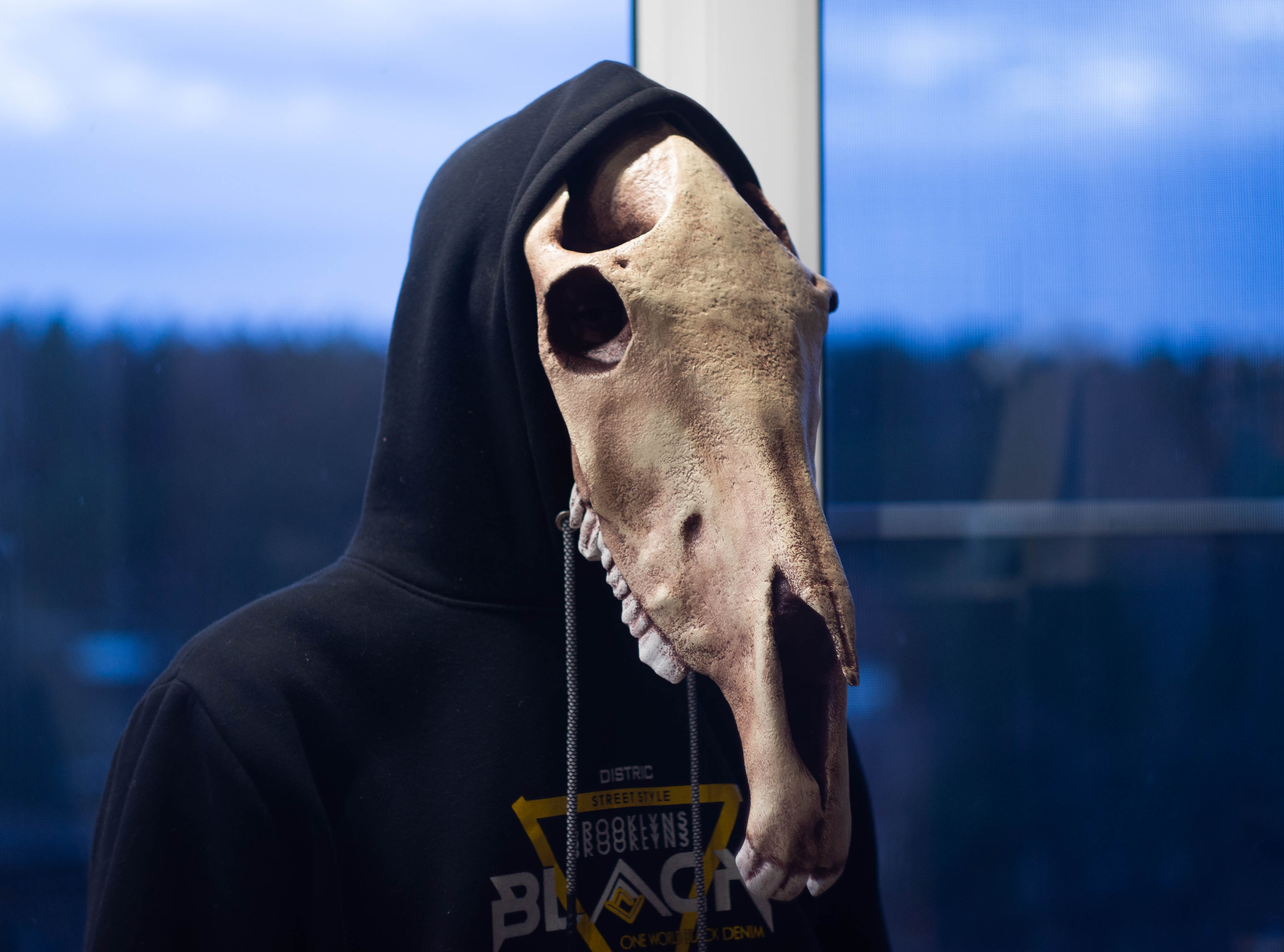 Horse skull mask, Realistic Replica, Horror style, undead ho Inspire