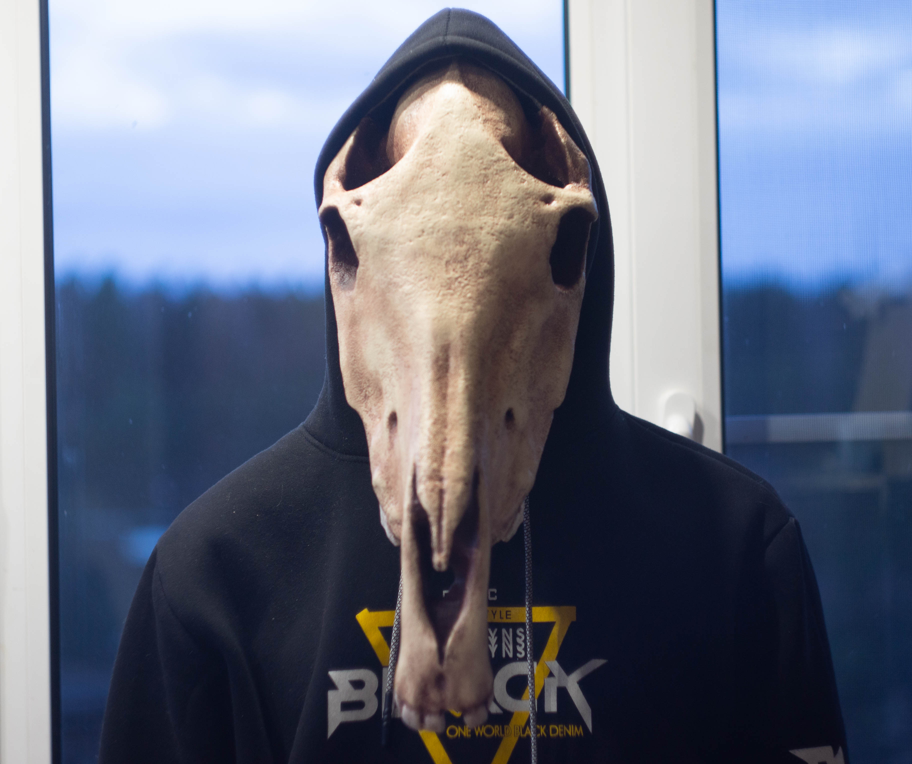 Horse skull mask, Realistic Replica, Horror style, undead ho Inspire