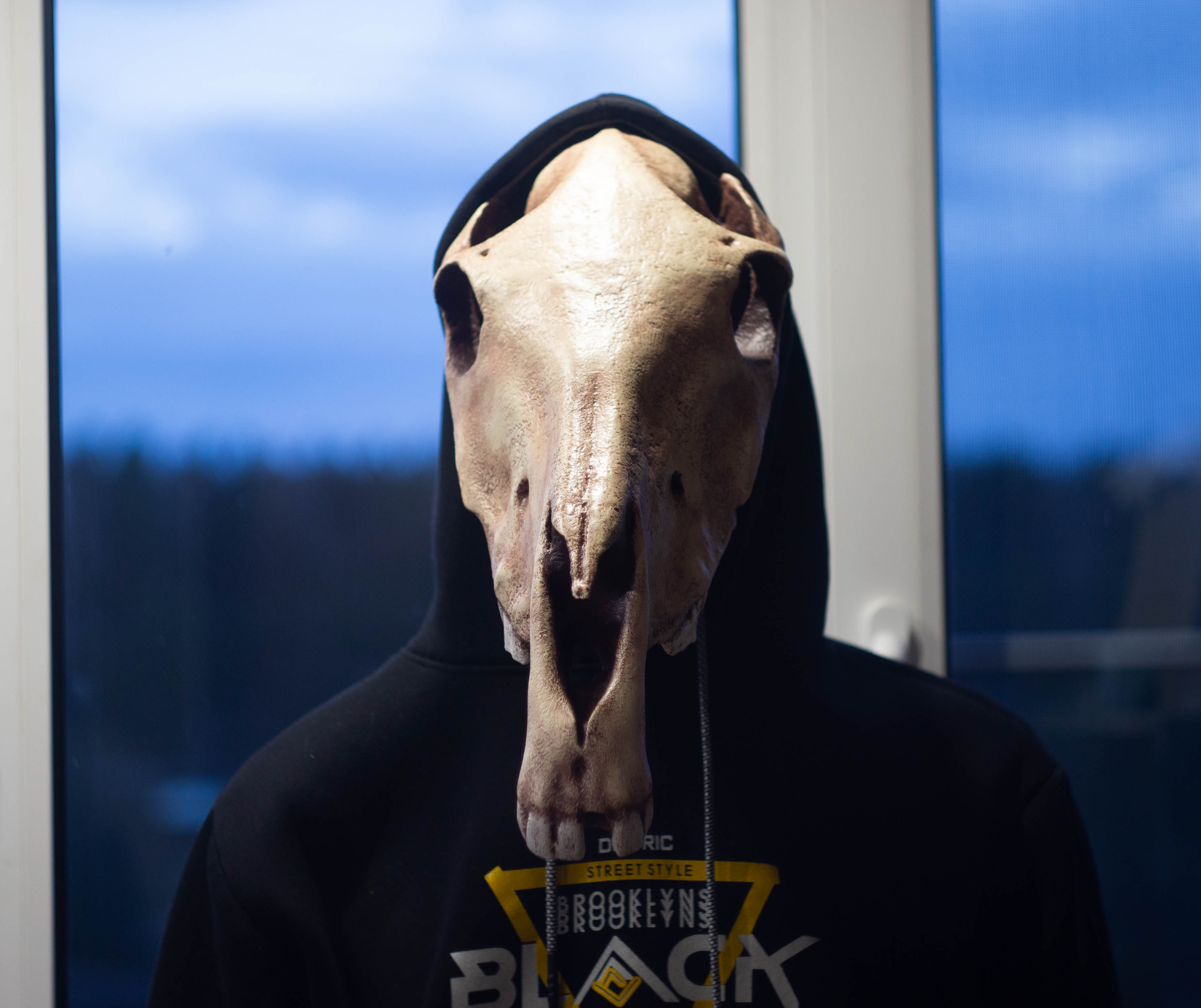 Horse skull mask, Realistic Replica, Horror style, undead ho Inspire