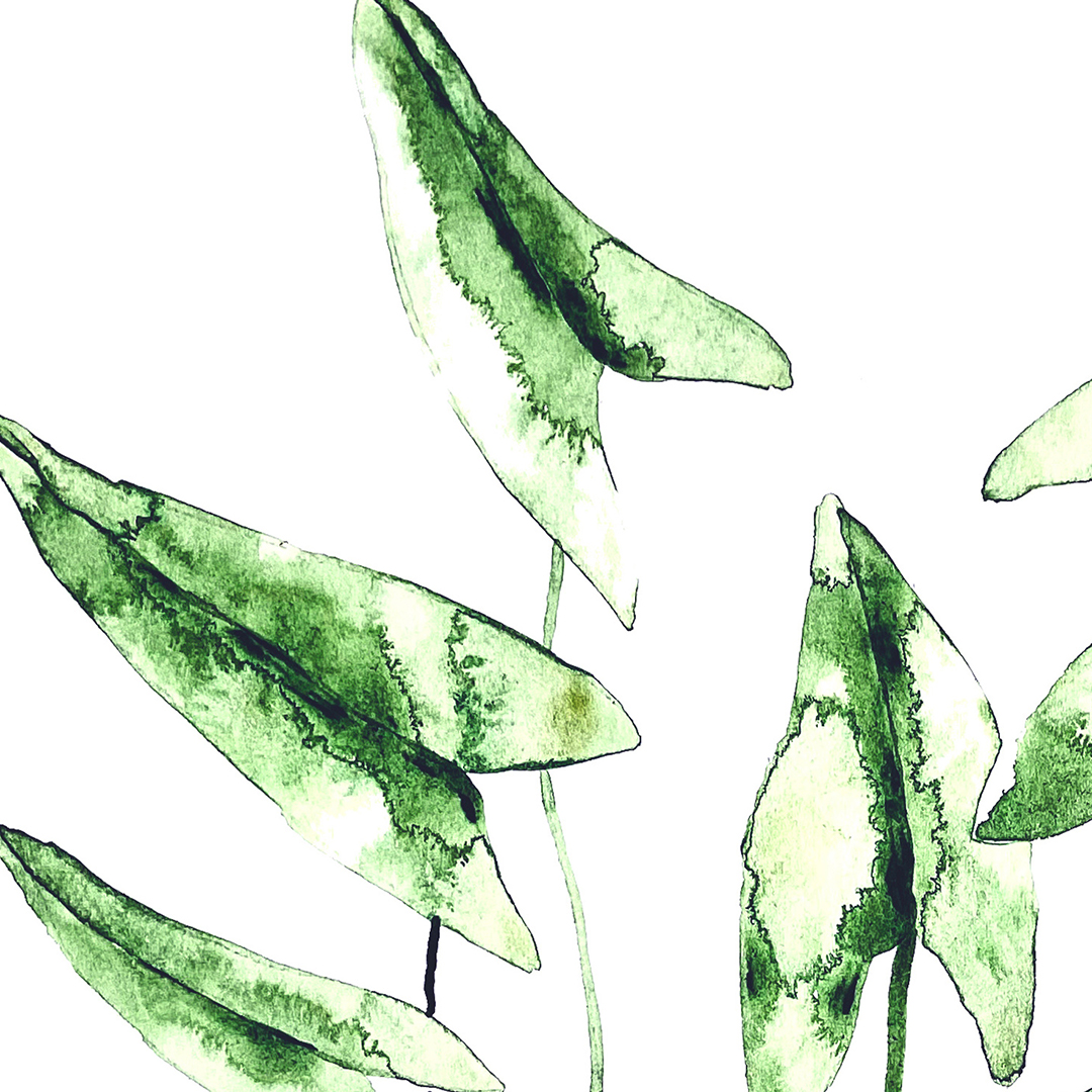 Watercolor painting printable, Botanical Plant, Green Printa - Inspire ...