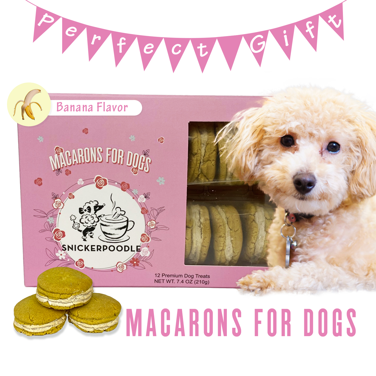 Banana Dog Macarons Inspire Uplift