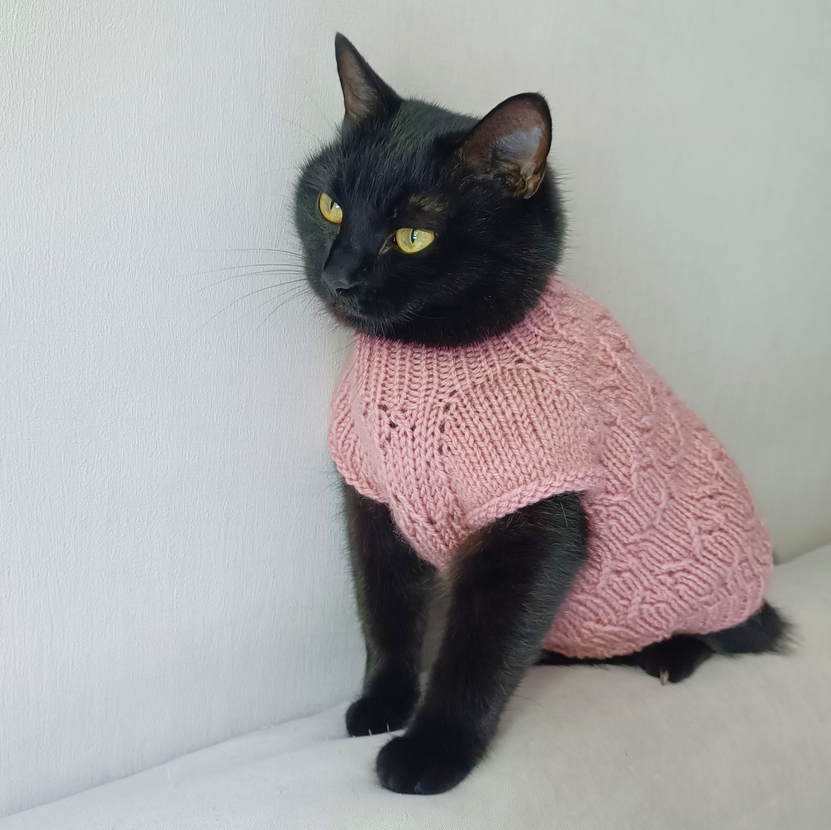 Cat sweater Cat jumper Cat turtleneck Knitted cats clothes P Inspire