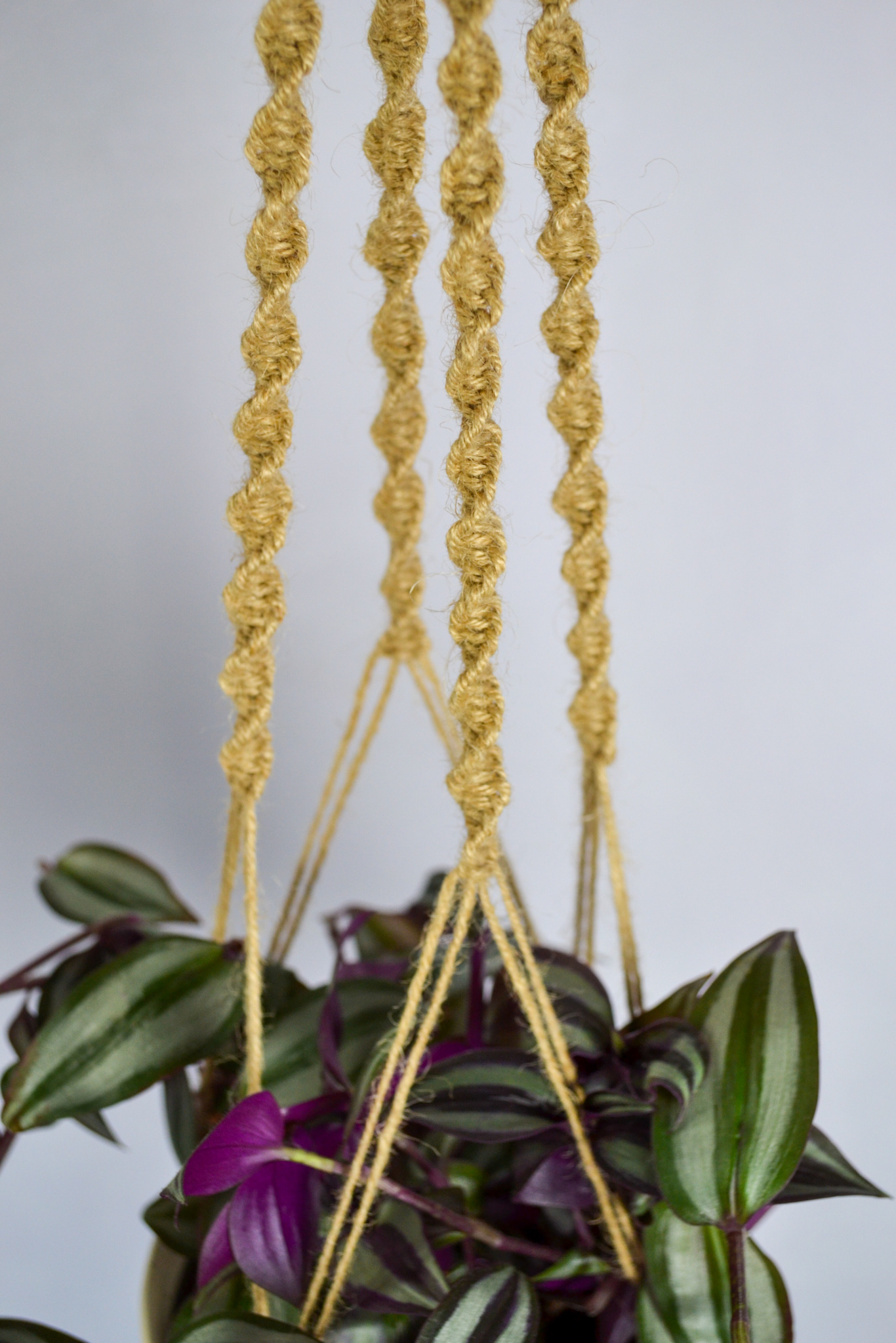 Macrame plant hanger , Jute plant holder Inspire Uplift