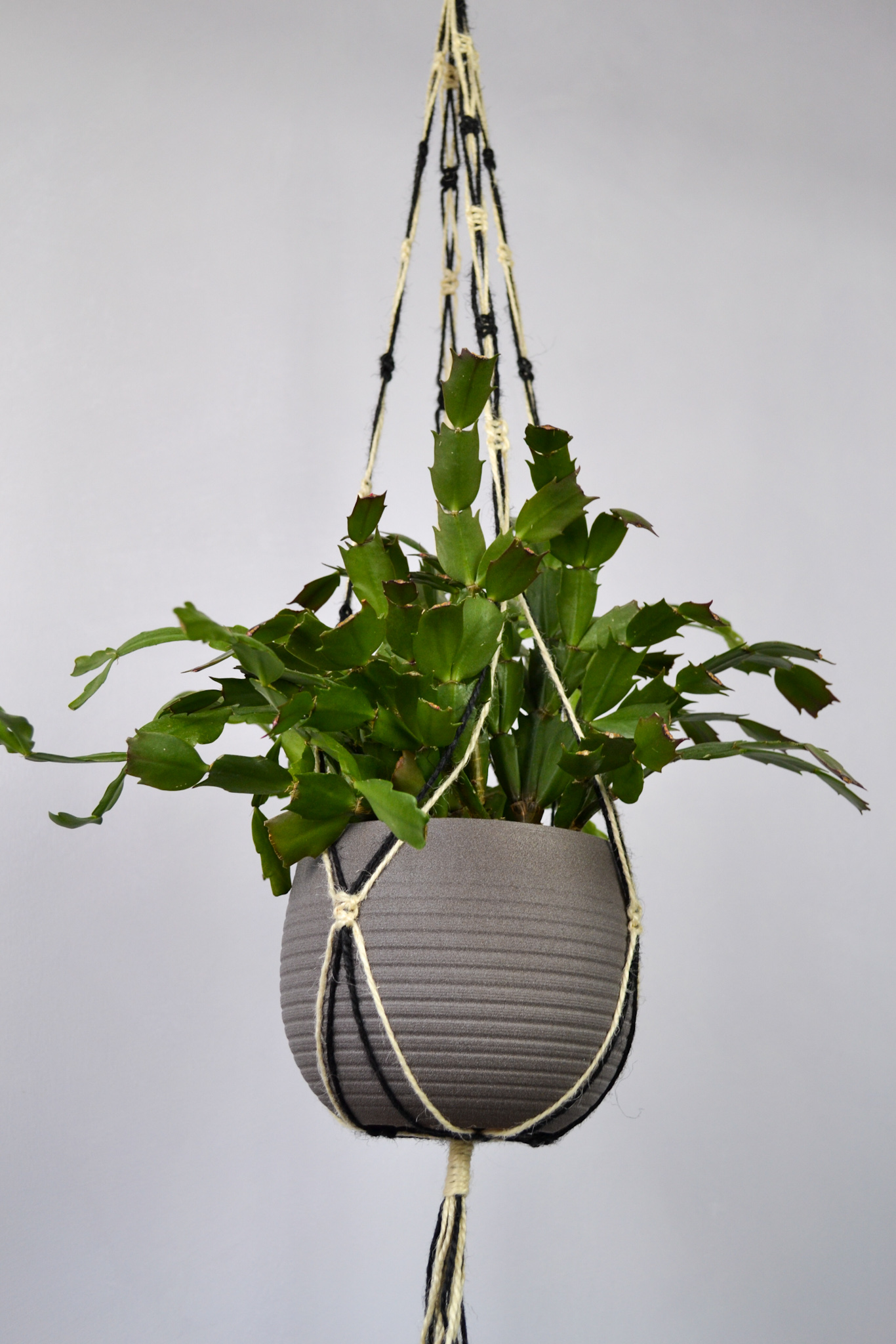 Macrame plant hanger , Jute plant holder Inspire Uplift