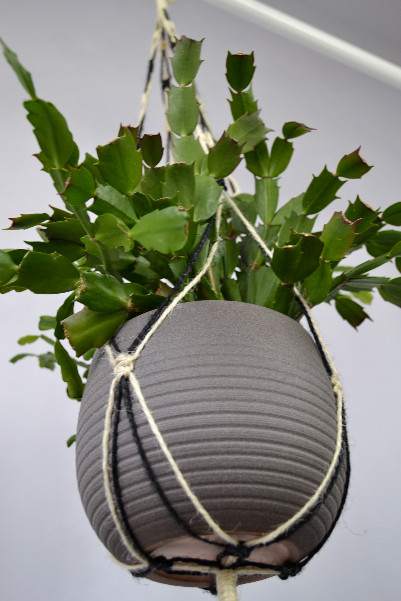 Macrame plant hanger , Jute plant holder Inspire Uplift