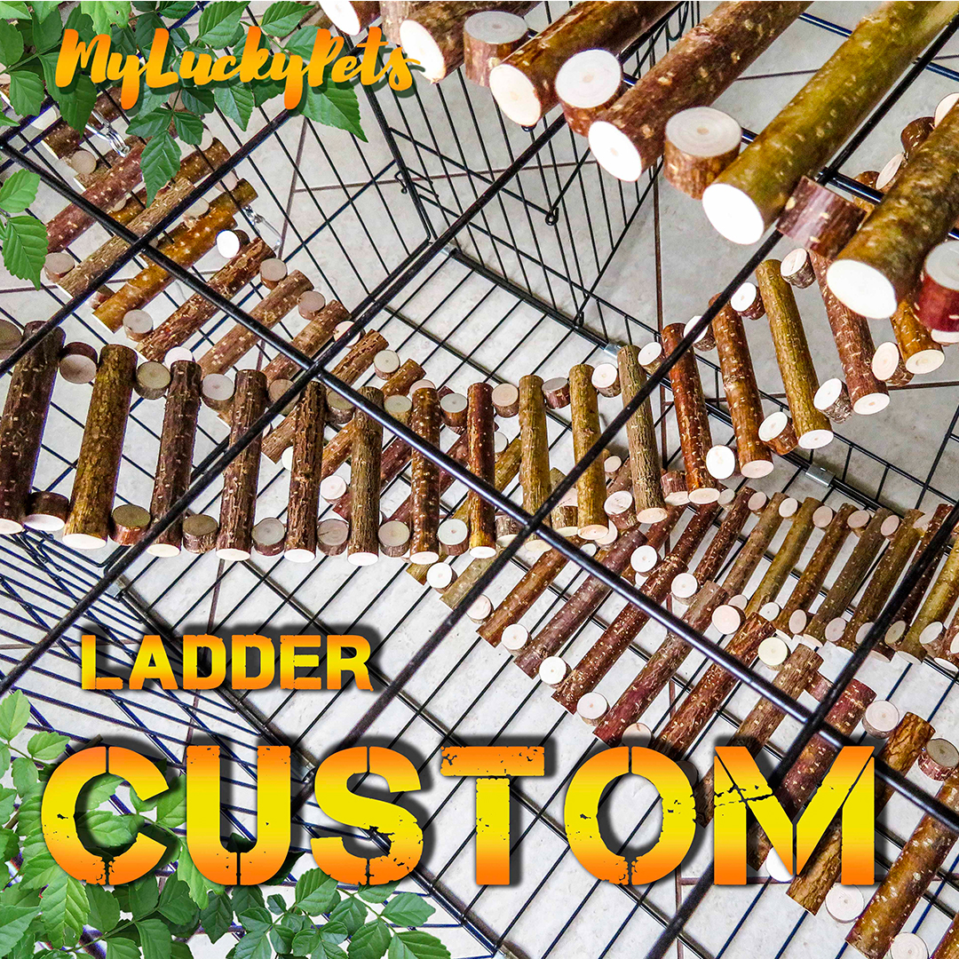 Large Custom Ladder for cages Bird, Cockatiel, Parrot, Rat. Inspire