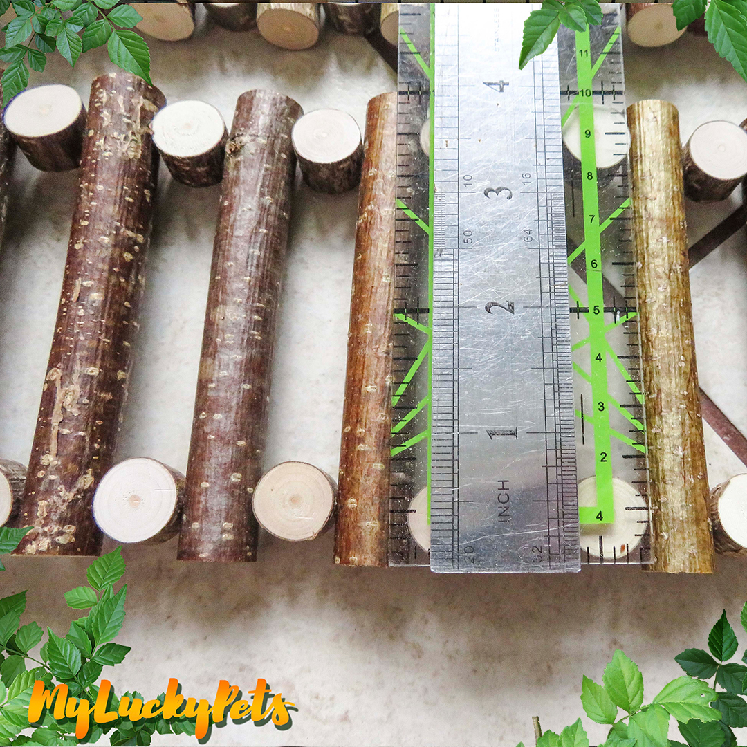 Large Custom Ladder for cages Bird, Cockatiel, Parrot, Rat. Inspire