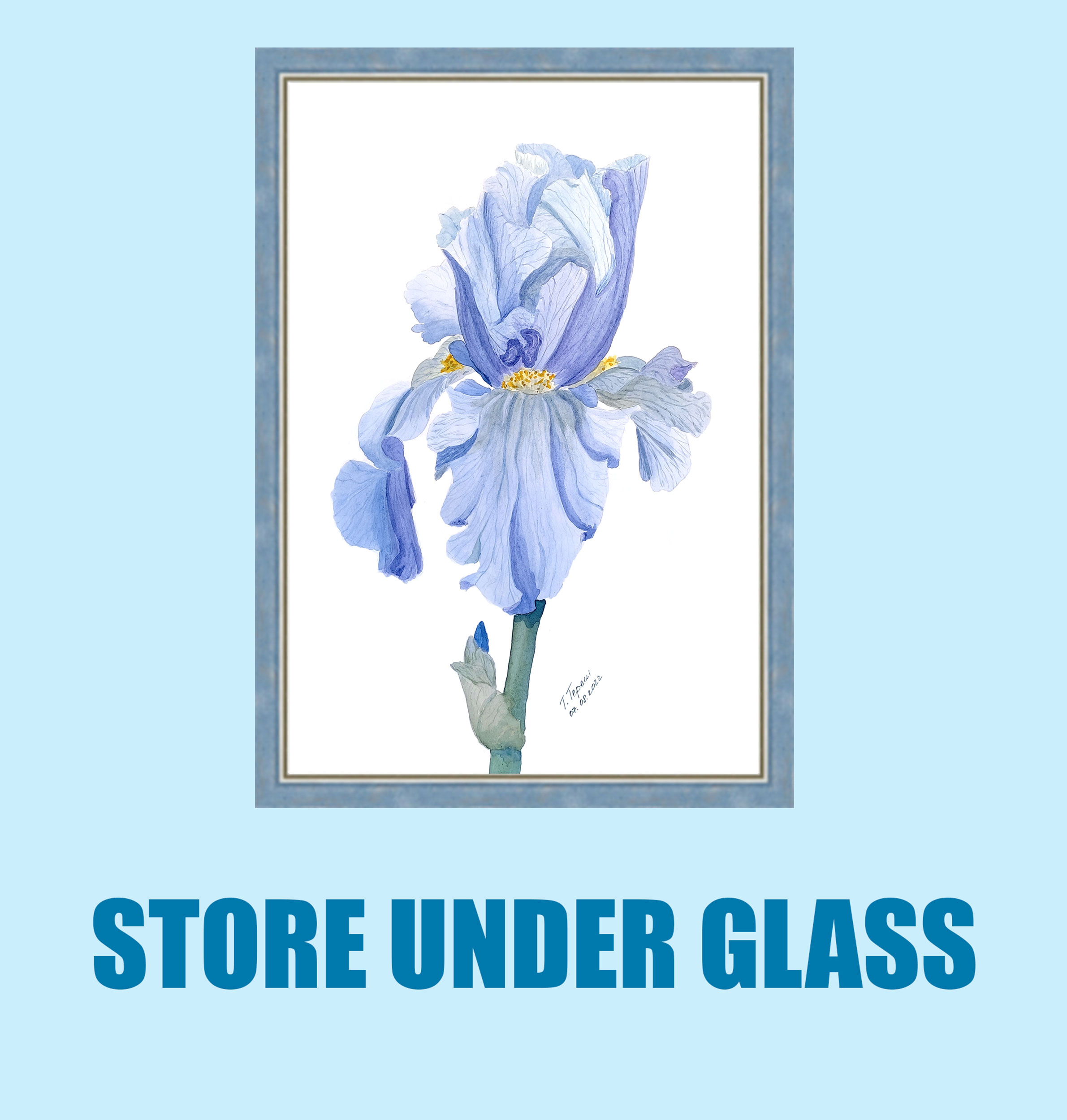 Iris Painting Flower Original Watercolor Art Iris Artwork Bo Inspire