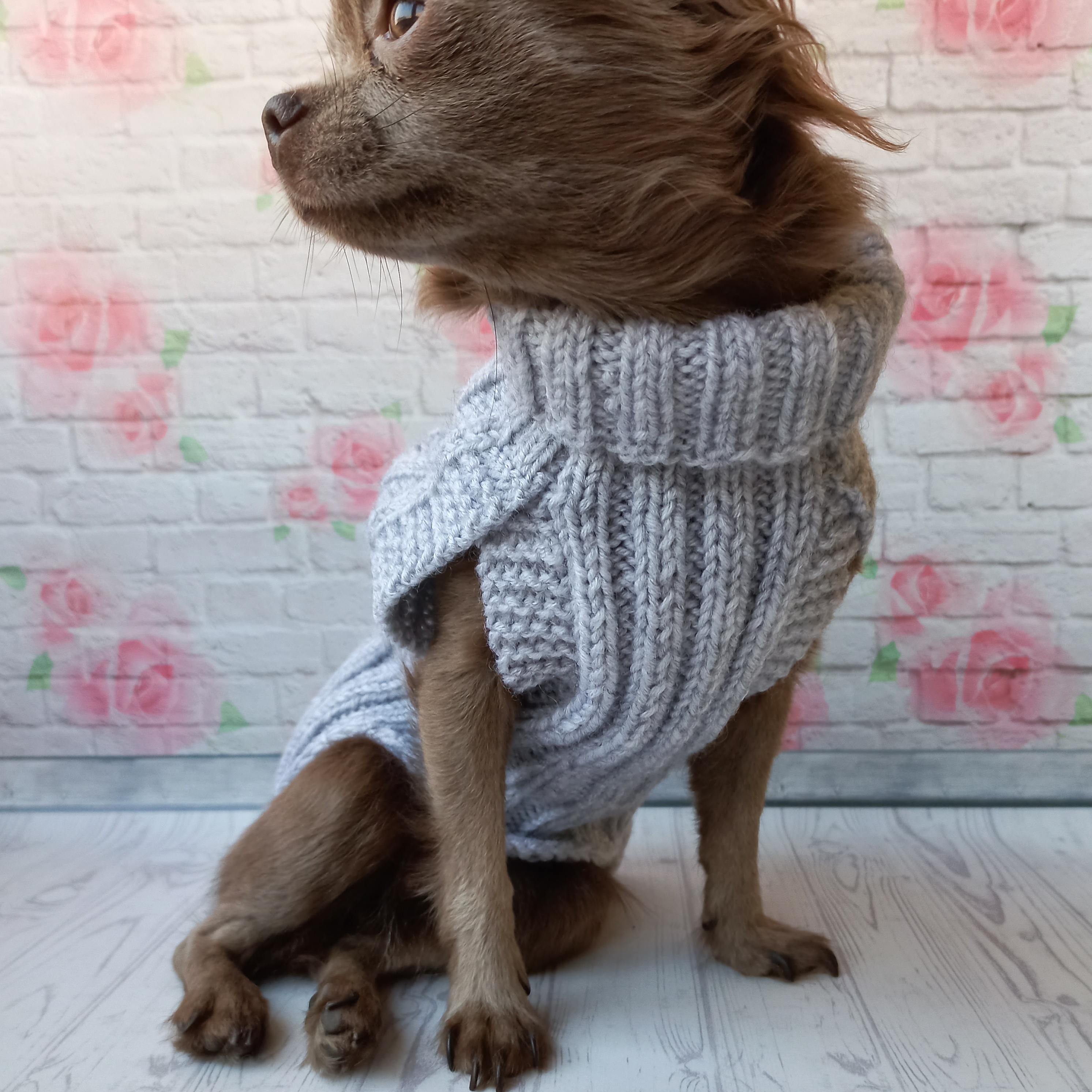 Small Dog sweater , Warm sweater for dog Inspire Uplift
