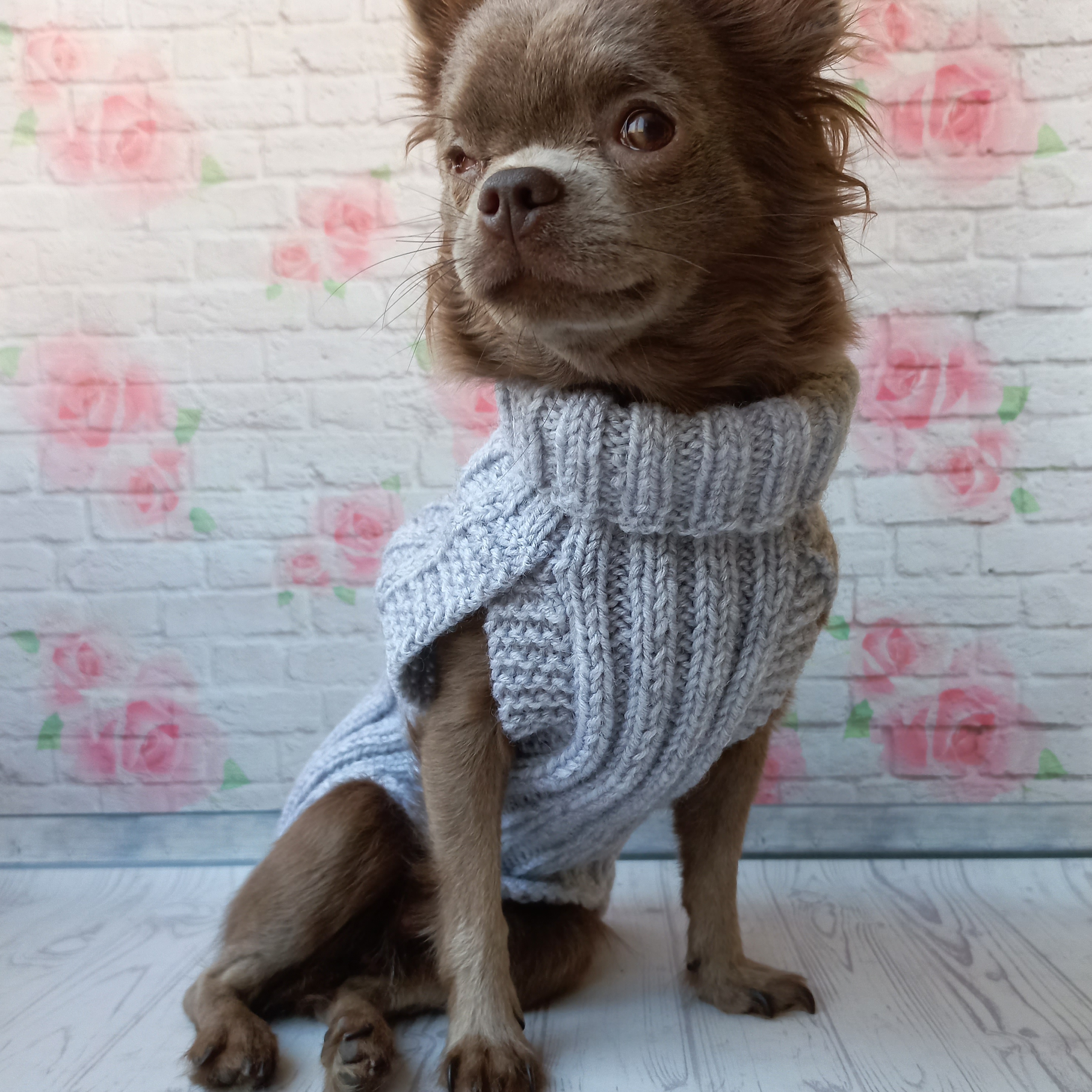 Small Dog sweater , Warm sweater for dog Inspire Uplift