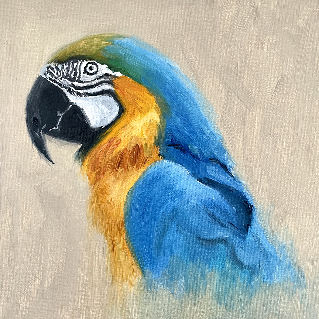 parrot-oil-painting-bird-oil-painting-painting-for-the-in-inspire