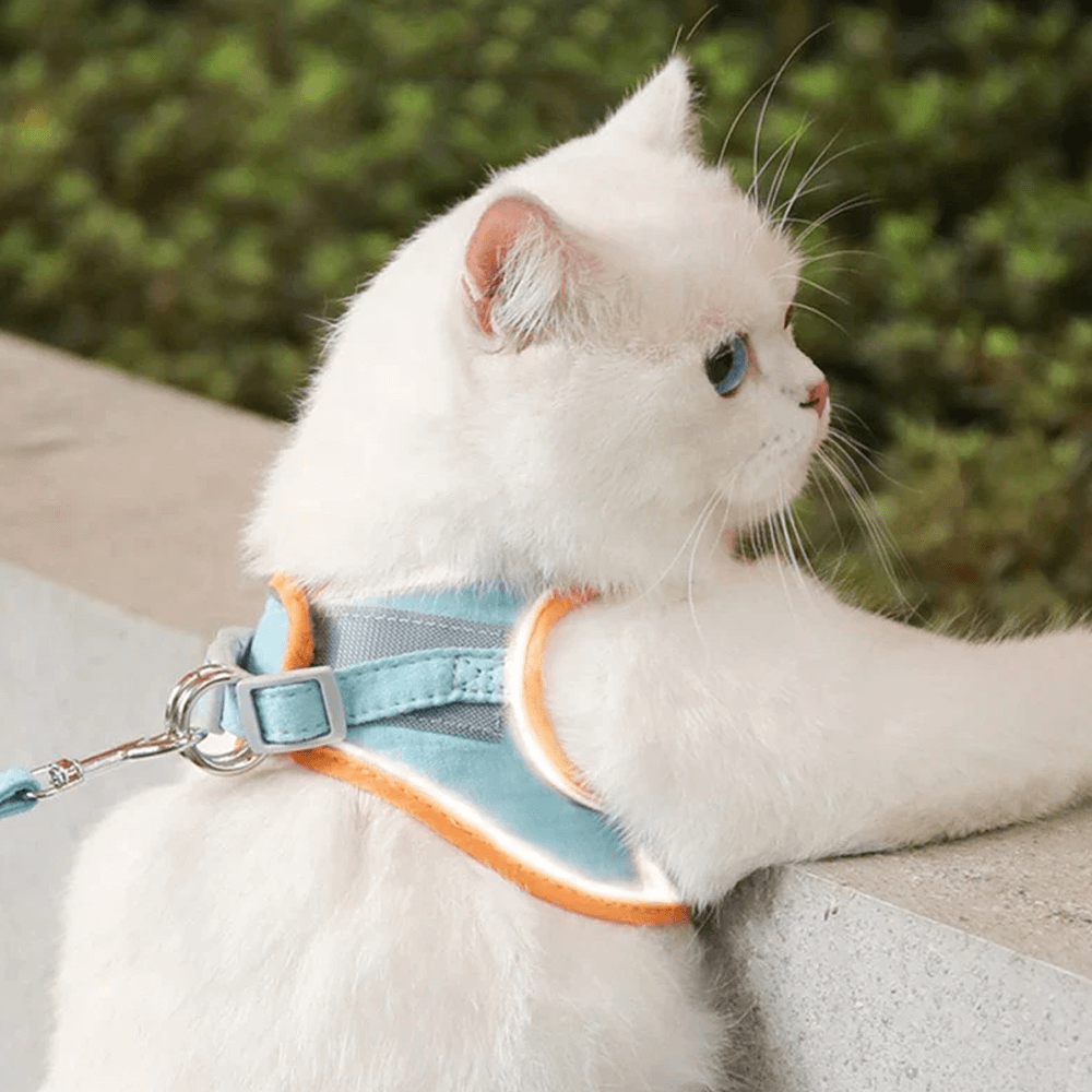 Cat Harness With Leash & Collar Set | Inspire Uplift - Collarless Cat Leash Harness