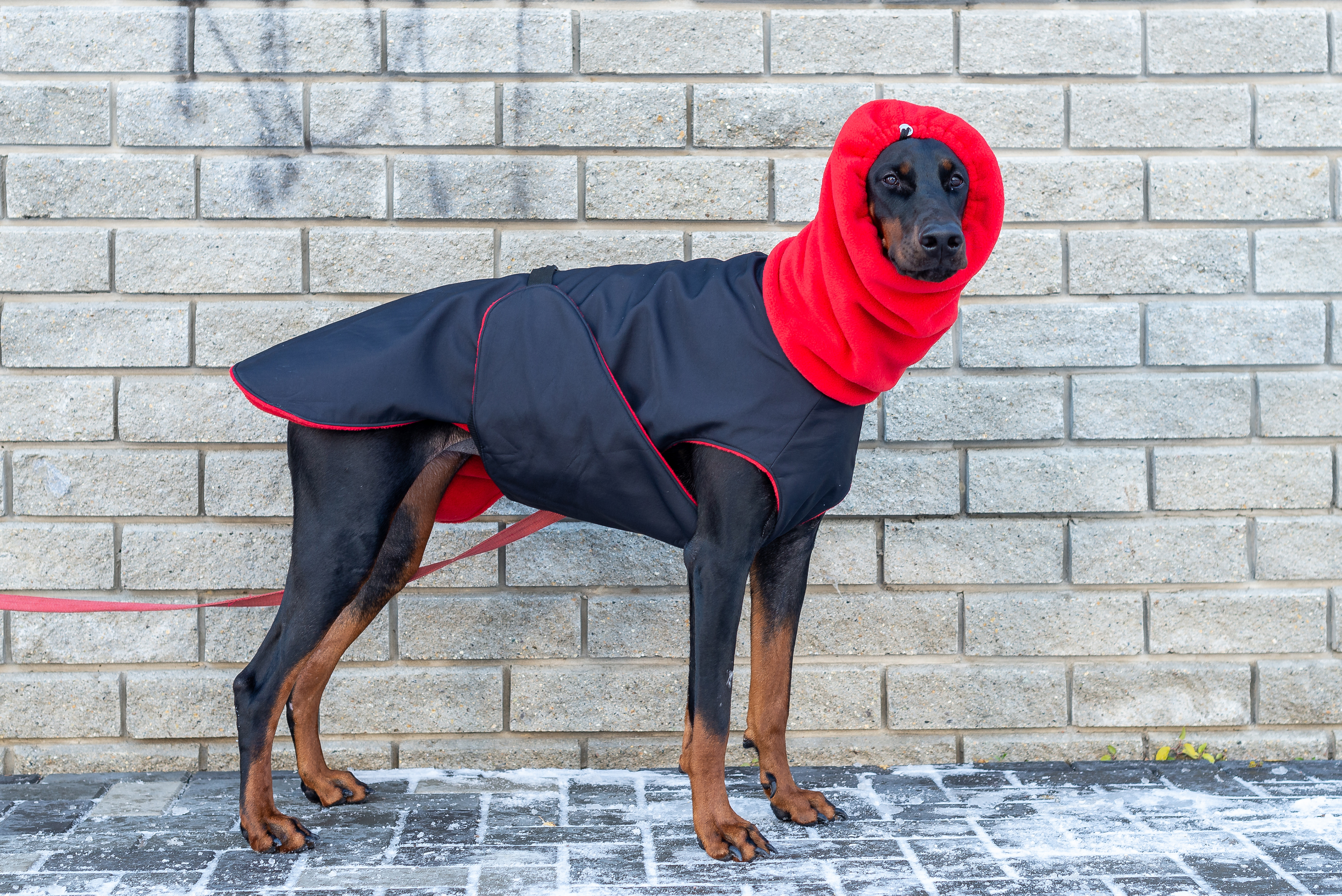Camo Doberman Winter Clothes Cold Weather Doberman Winter Coat