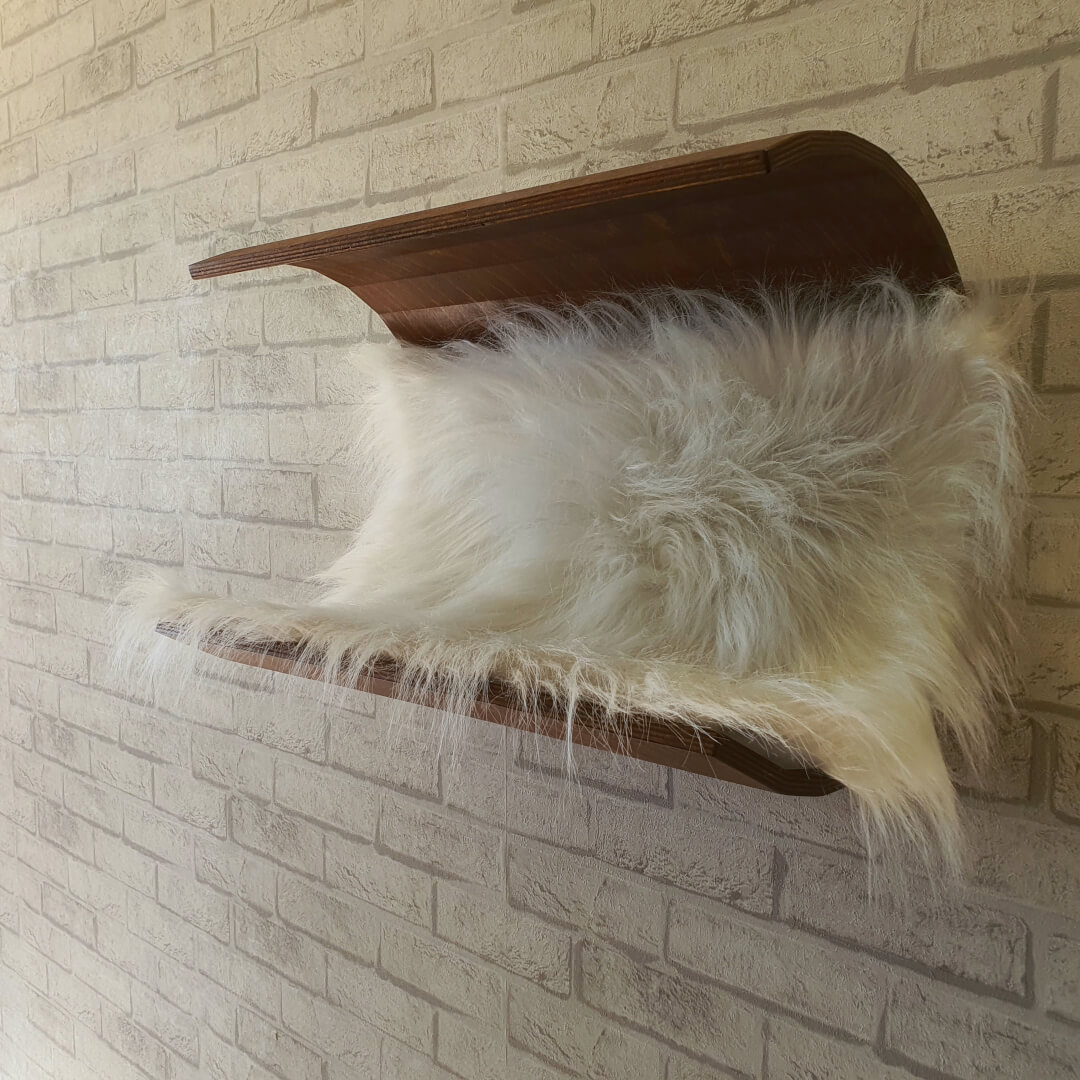 Wall cat condo. Wall cat house. Wall cat cave. Modern cat ho Inspire